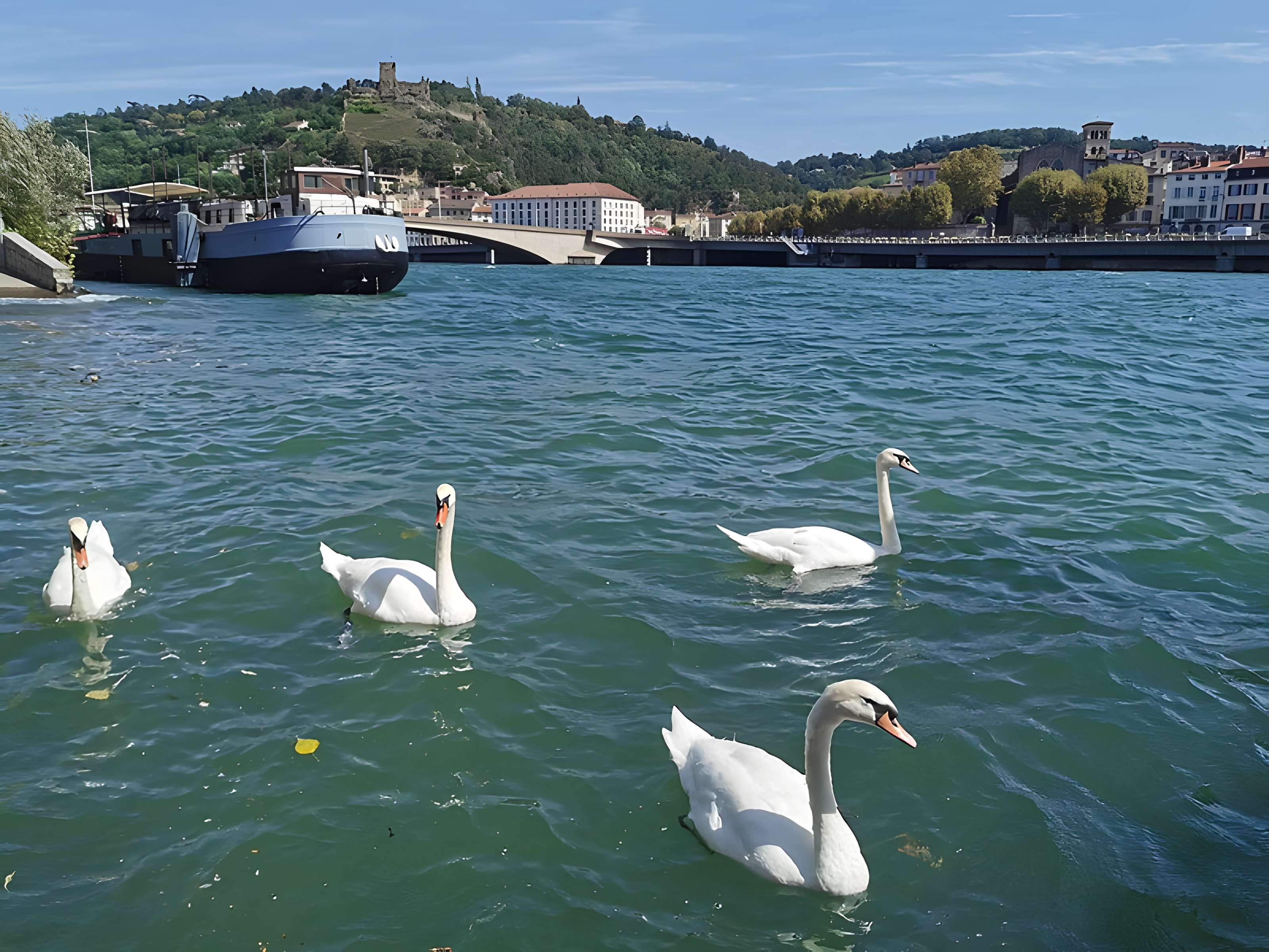 Abbaye de Saint-André-le-Bas