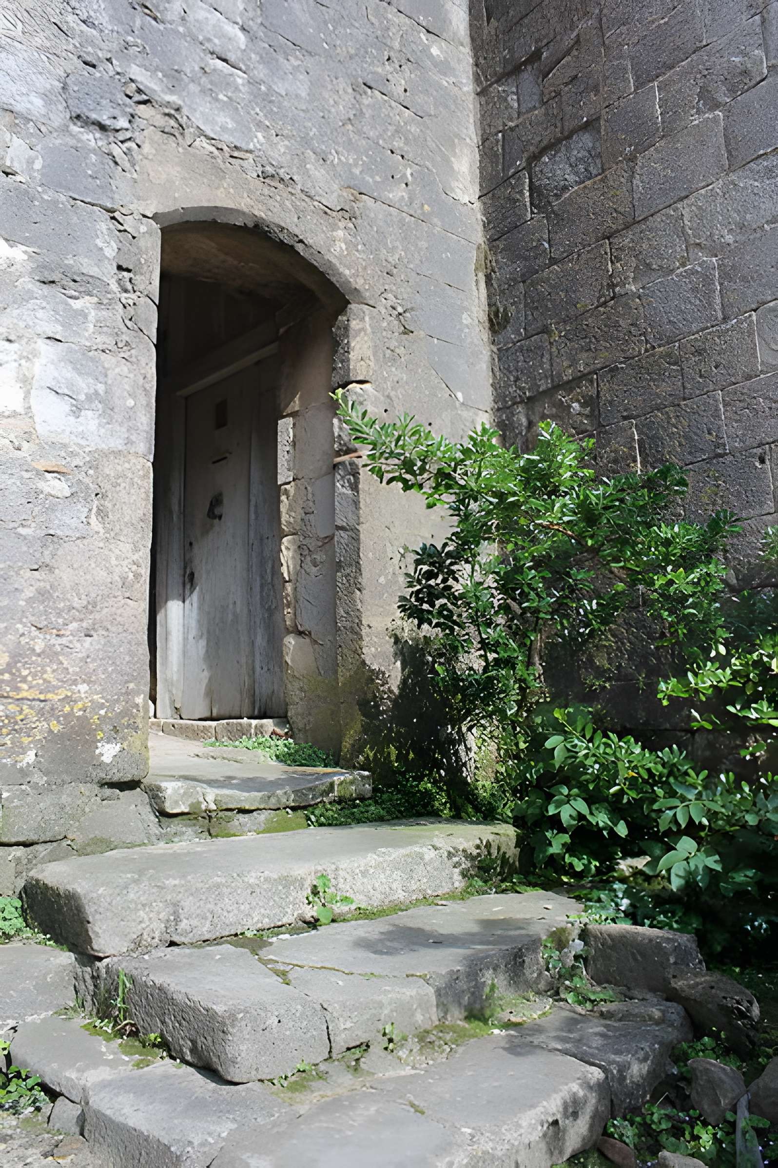 Abbaye de Saint-Ferme