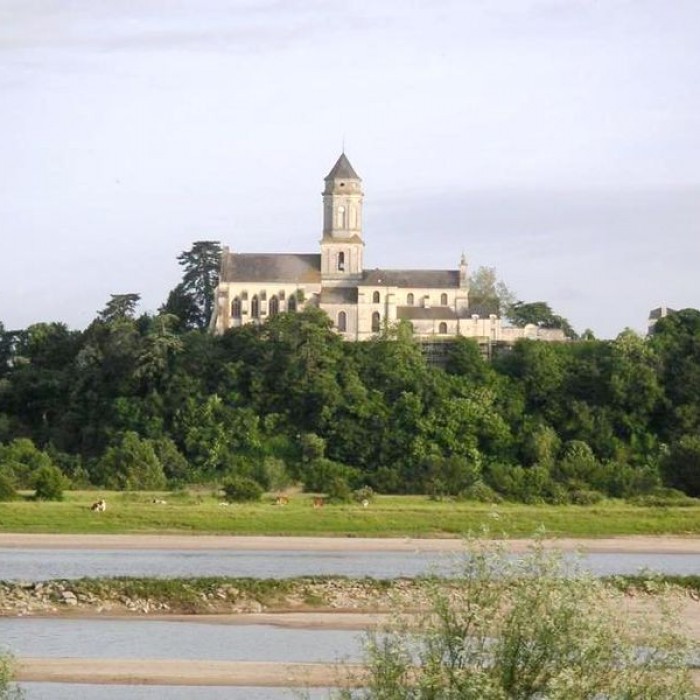 Photo de Abbaye de Saint-Florent-le-Vieil