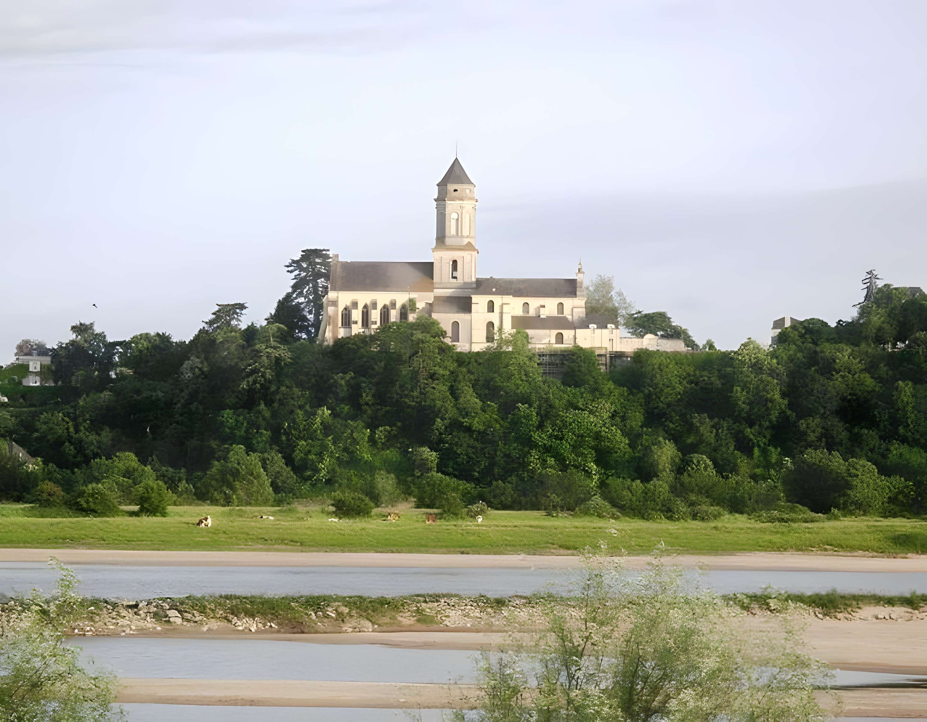 Abbaye de Saint-Florent-le-Vieil 