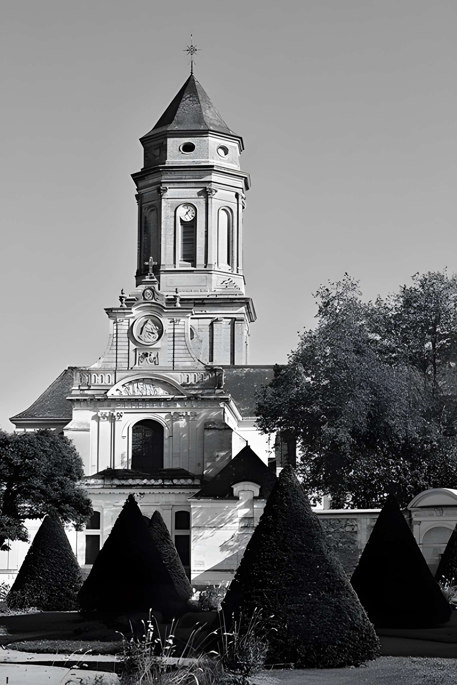 Abbaye de Saint-Florent-le-Vieil