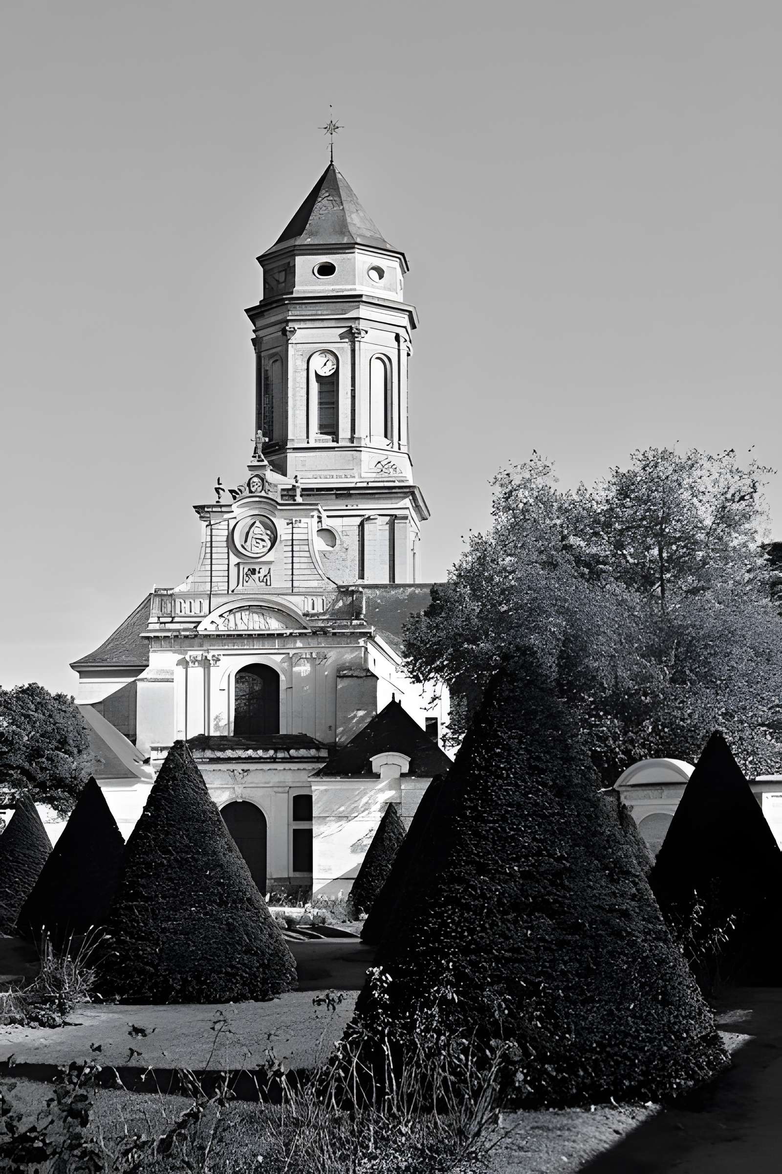 Abbaye de Saint-Florent-le-Vieil