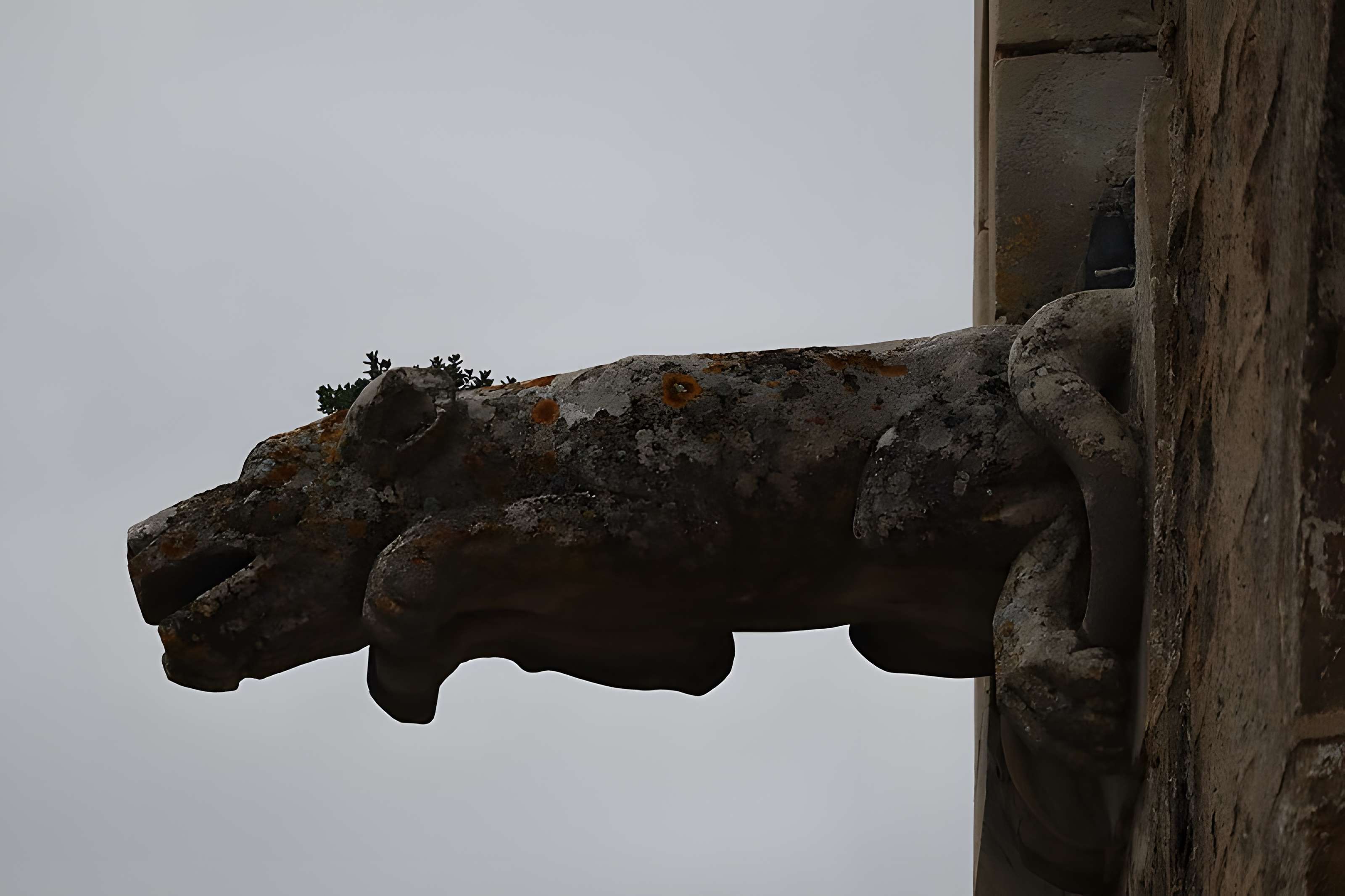 Église Saint-Cyr-et-Sainte-Julitte de Clamerey