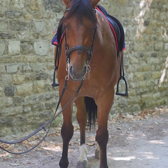 Photo de Abbaye de Saint-Pons