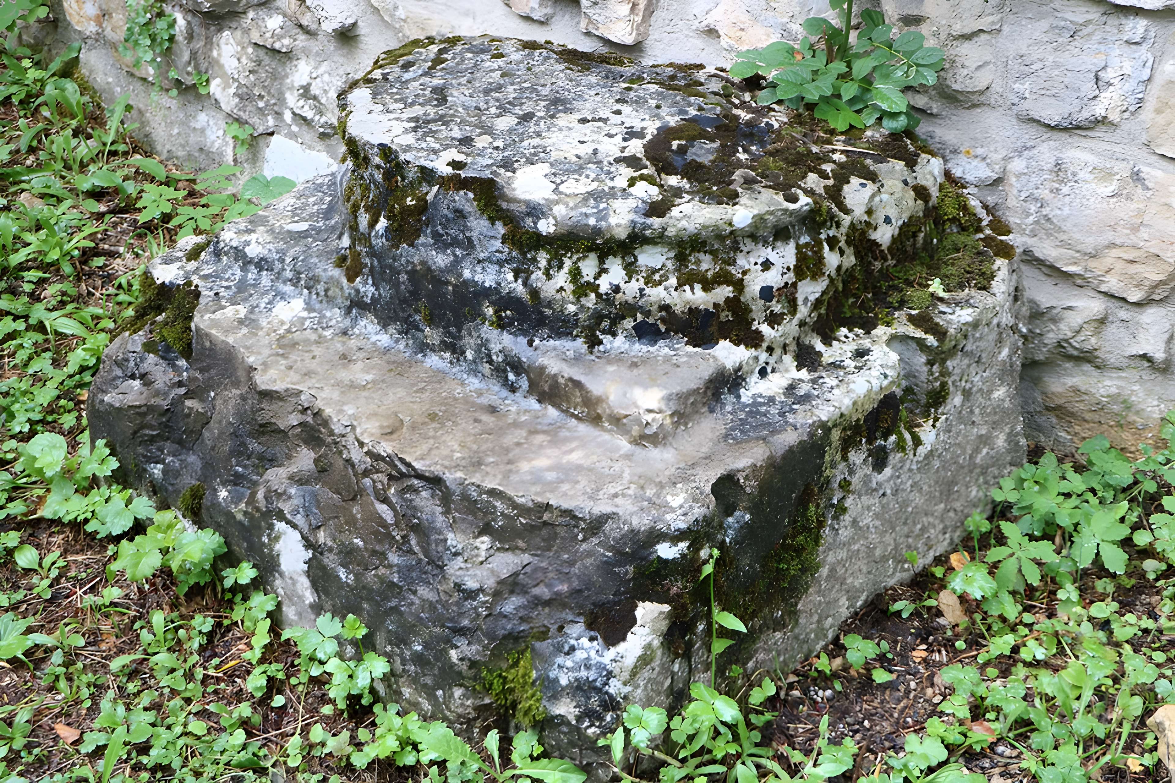 Abbaye de Saint-Rambert-en-Bugey