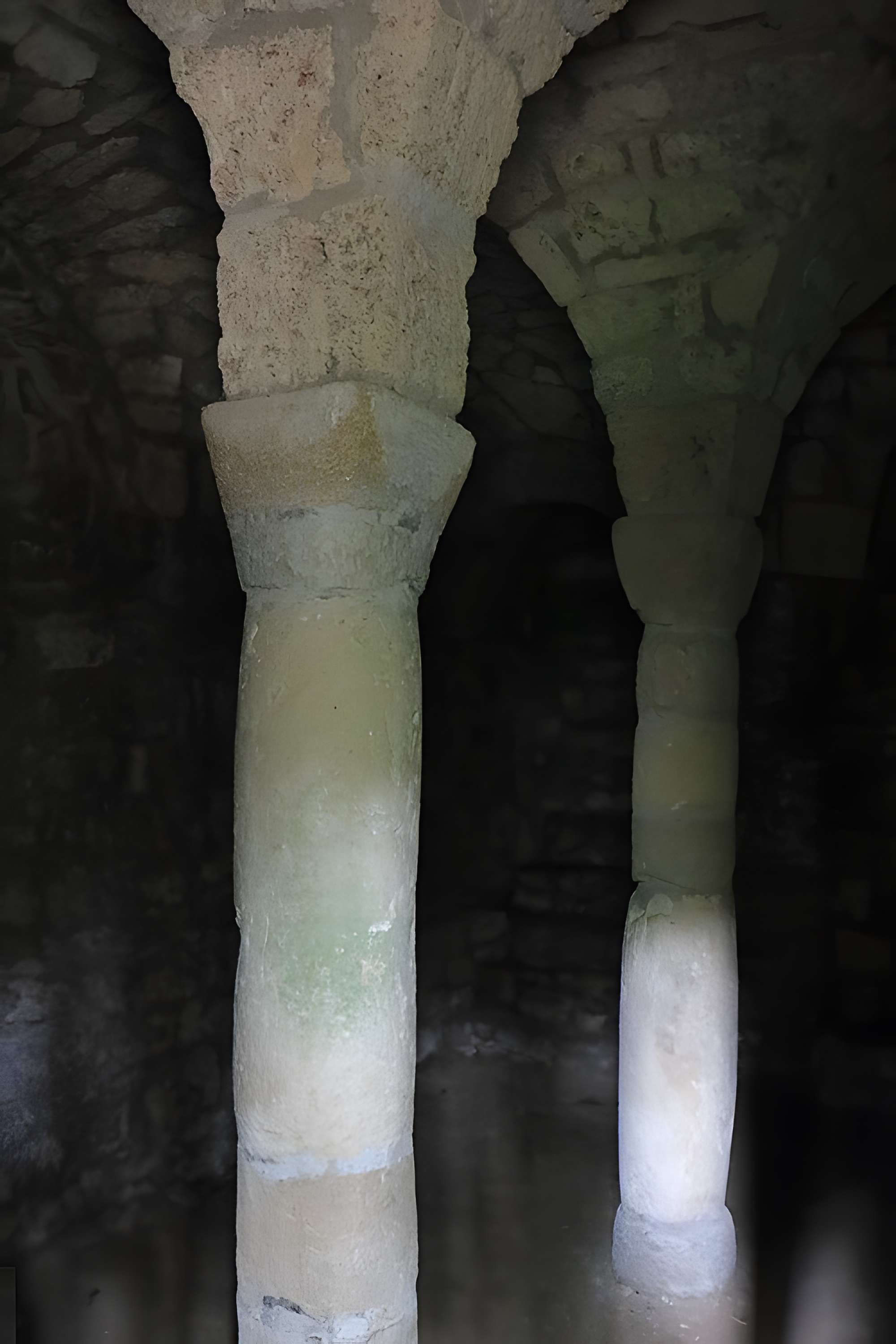 Abbaye de Saint-Rambert-en-Bugey