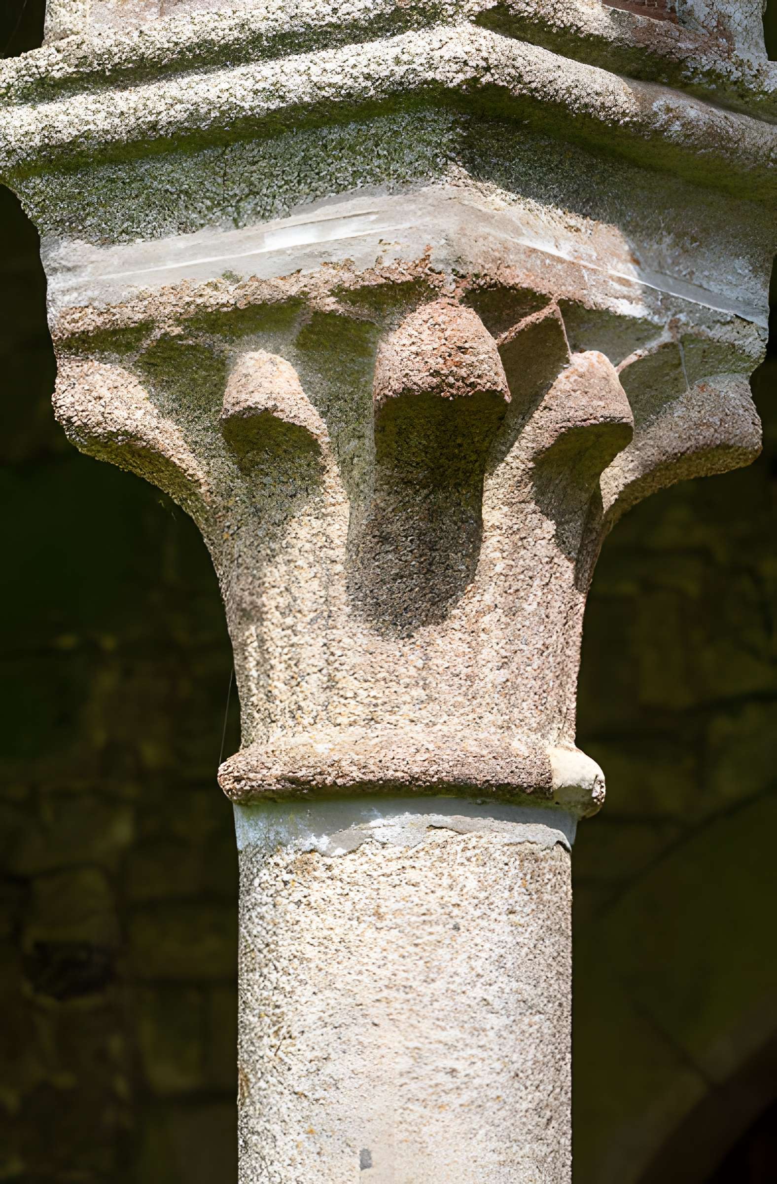 Abbaye Blanche de Mortain