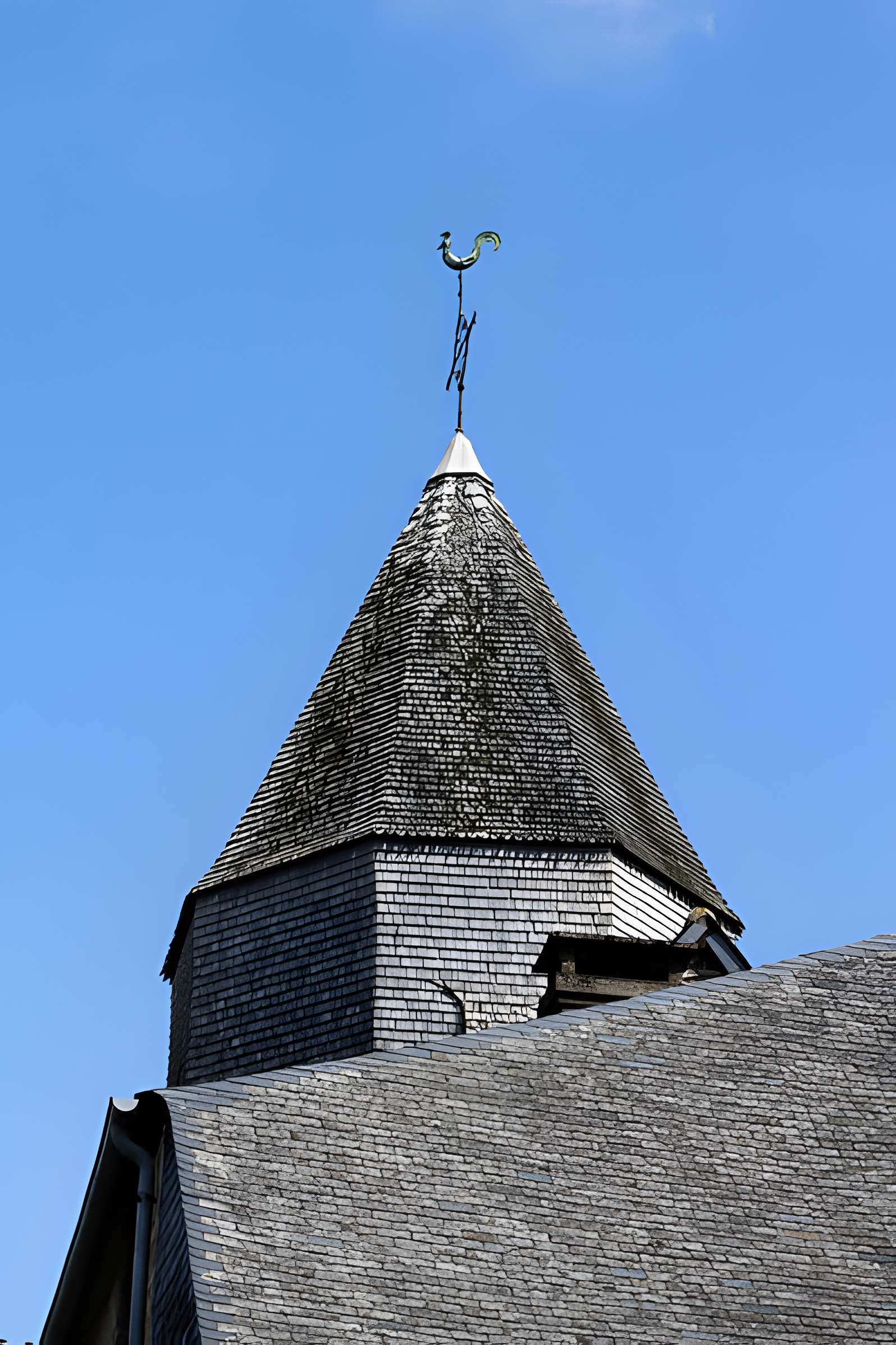 Abbaye Blanche de Mortain