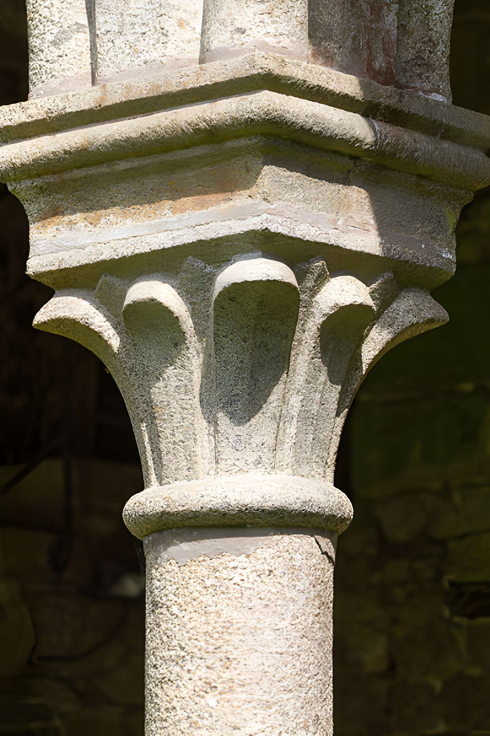 Abbaye Blanche de Mortain