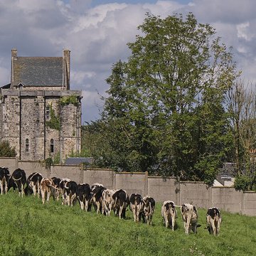 Abbaye de Saint-Sauveur-le-Vicomte