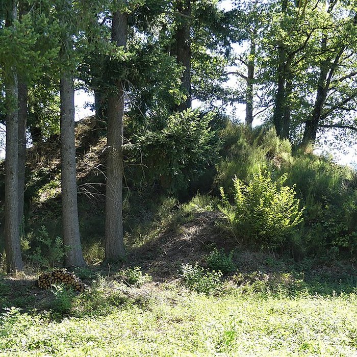 Photo de Église Saint-Didier-et-Saint-Blaise de Saint-Dizier-la-Tour