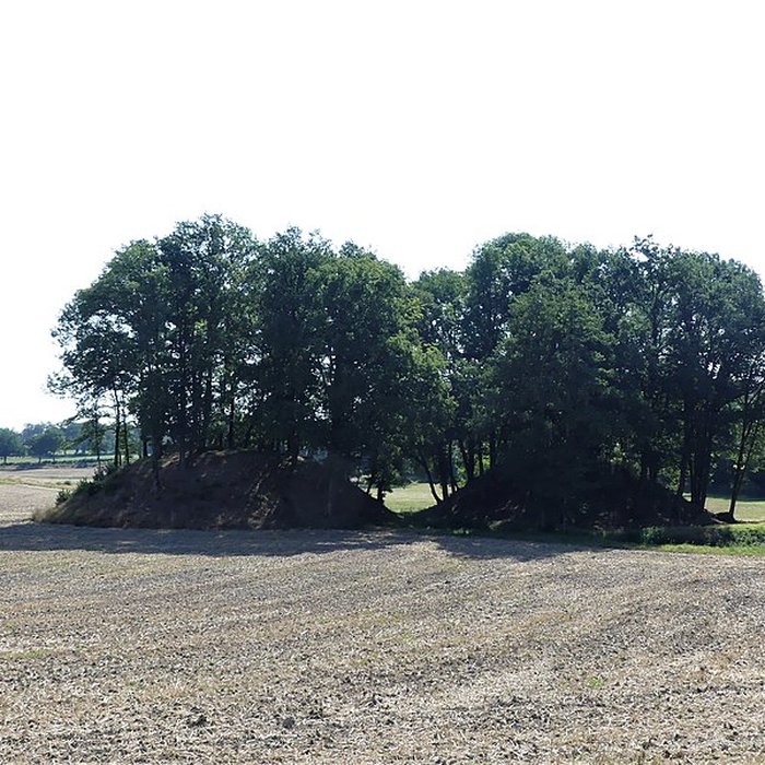 Photo de Église Saint-Didier-et-Saint-Blaise de Saint-Dizier-la-Tour