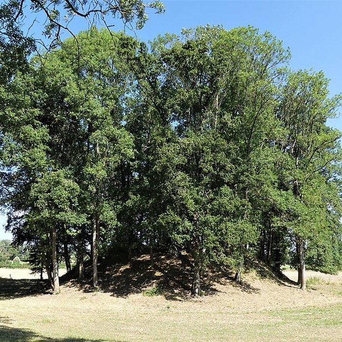 Photo de Église Saint-Didier-et-Saint-Blaise de Saint-Dizier-la-Tour