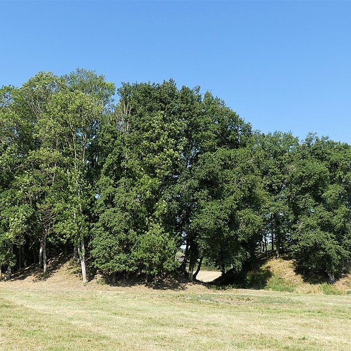 Photo de Église Saint-Didier-et-Saint-Blaise de Saint-Dizier-la-Tour