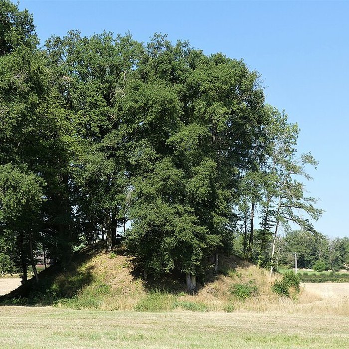 Photo de Église Saint-Didier-et-Saint-Blaise de Saint-Dizier-la-Tour