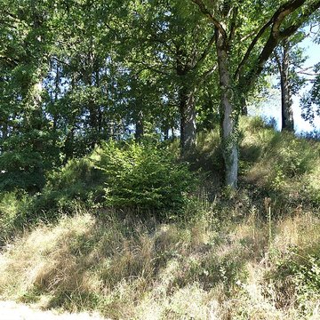 Église Saint-Didier-et-Saint-Blaise de Saint-Dizier-la-Tour
