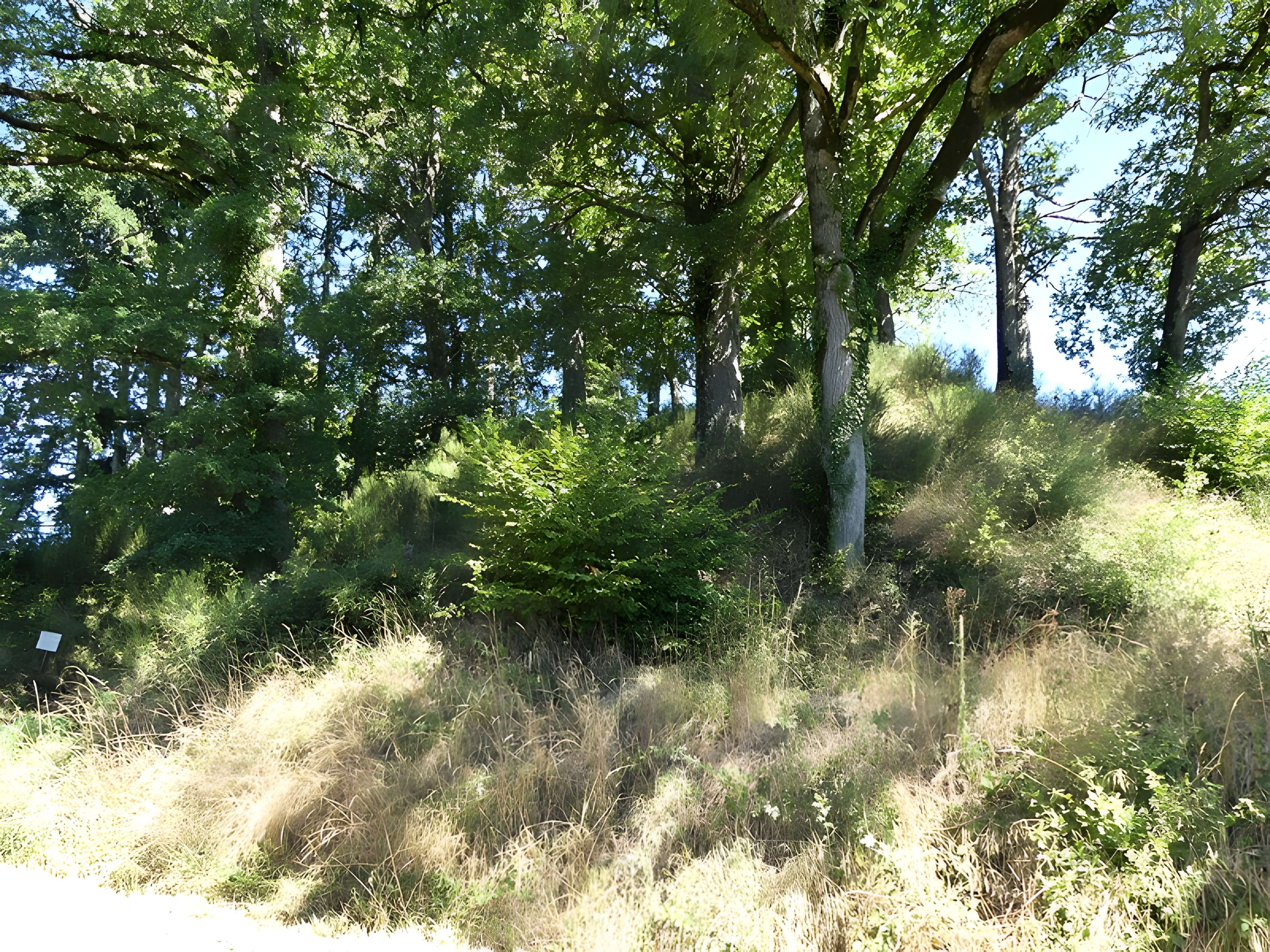 Église Saint-Didier-et-Saint-Blaise de Saint-Dizier-la-Tour