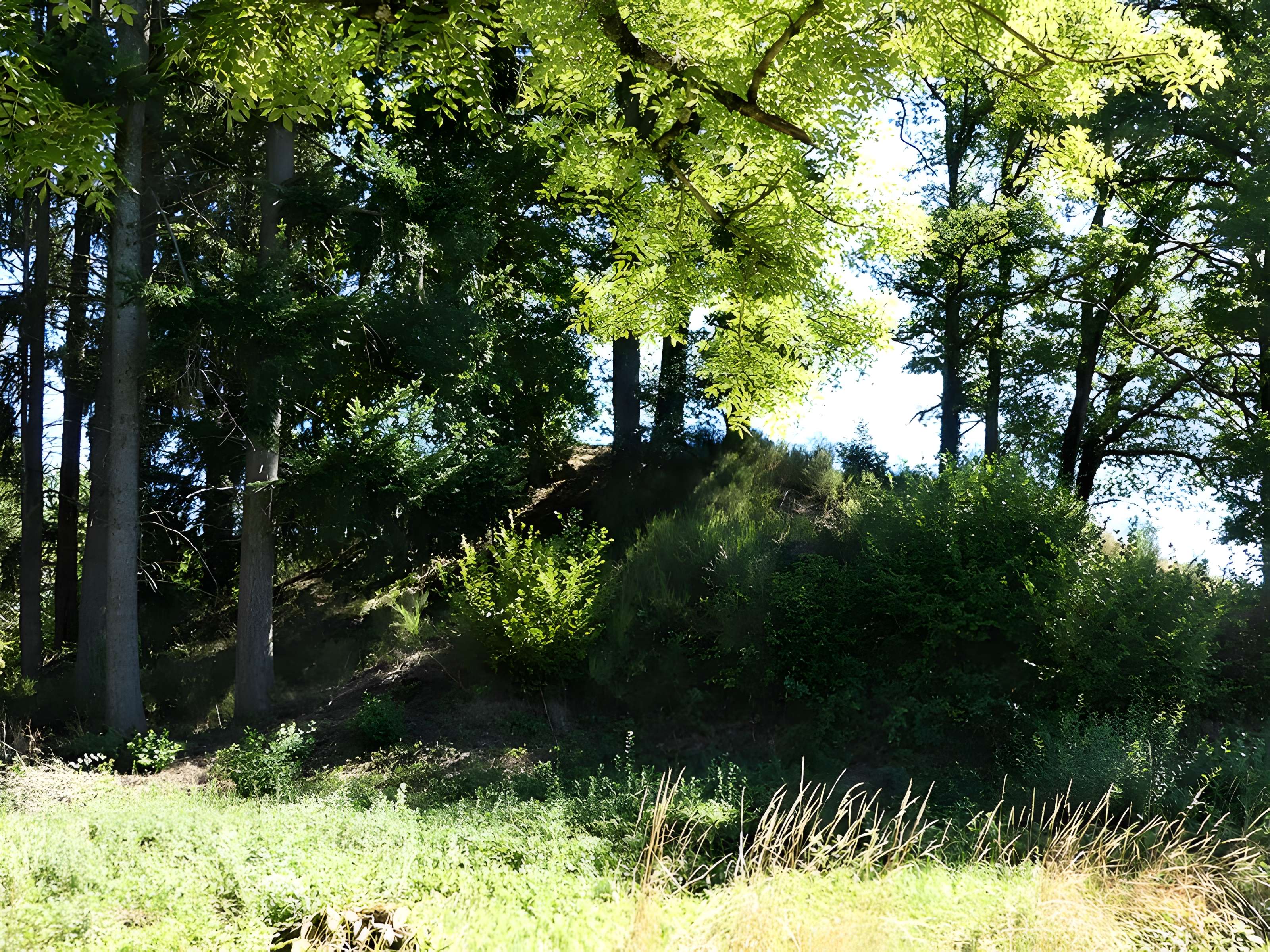Église Saint-Didier-et-Saint-Blaise de Saint-Dizier-la-Tour