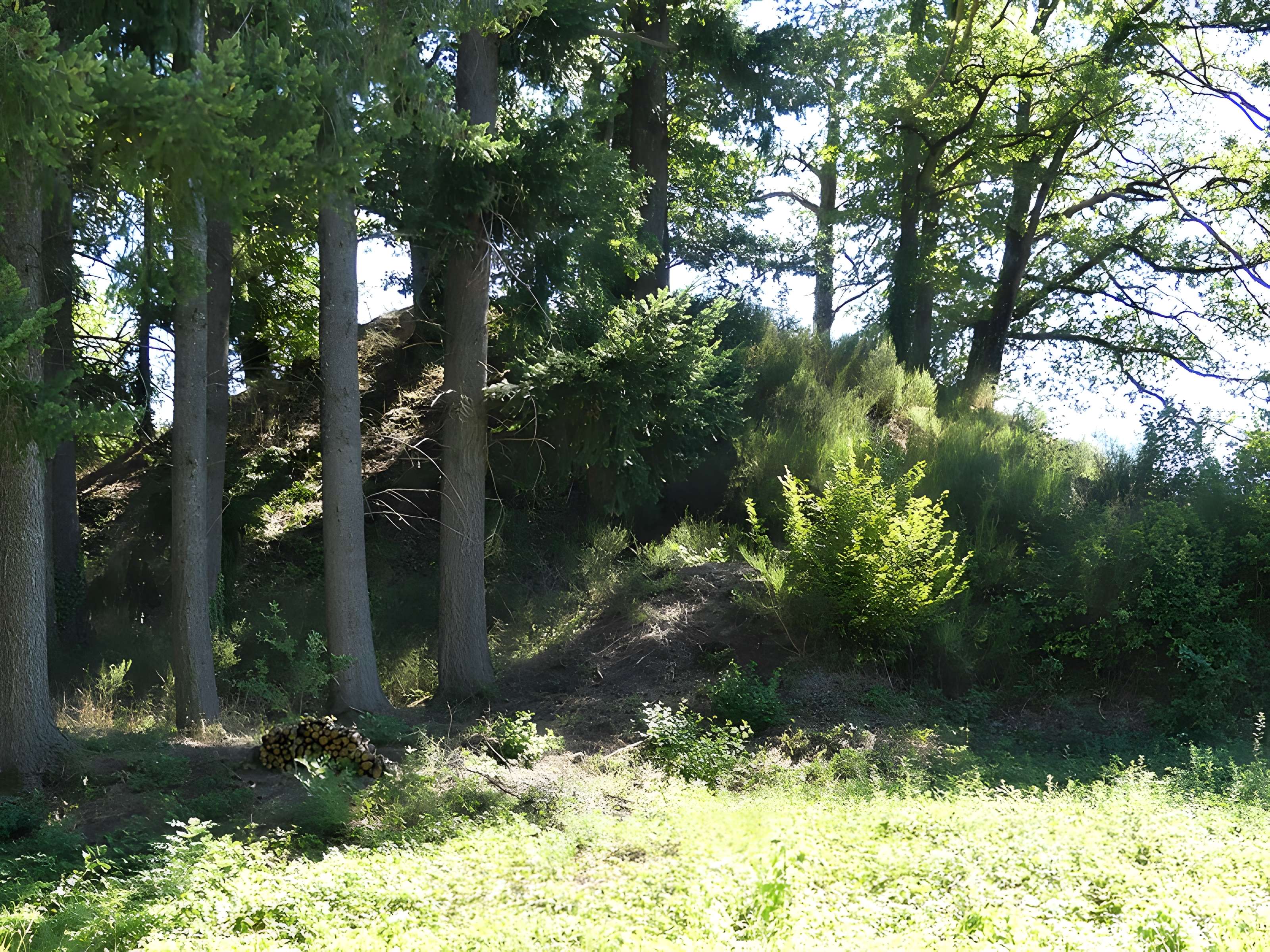 Église Saint-Didier-et-Saint-Blaise de Saint-Dizier-la-Tour