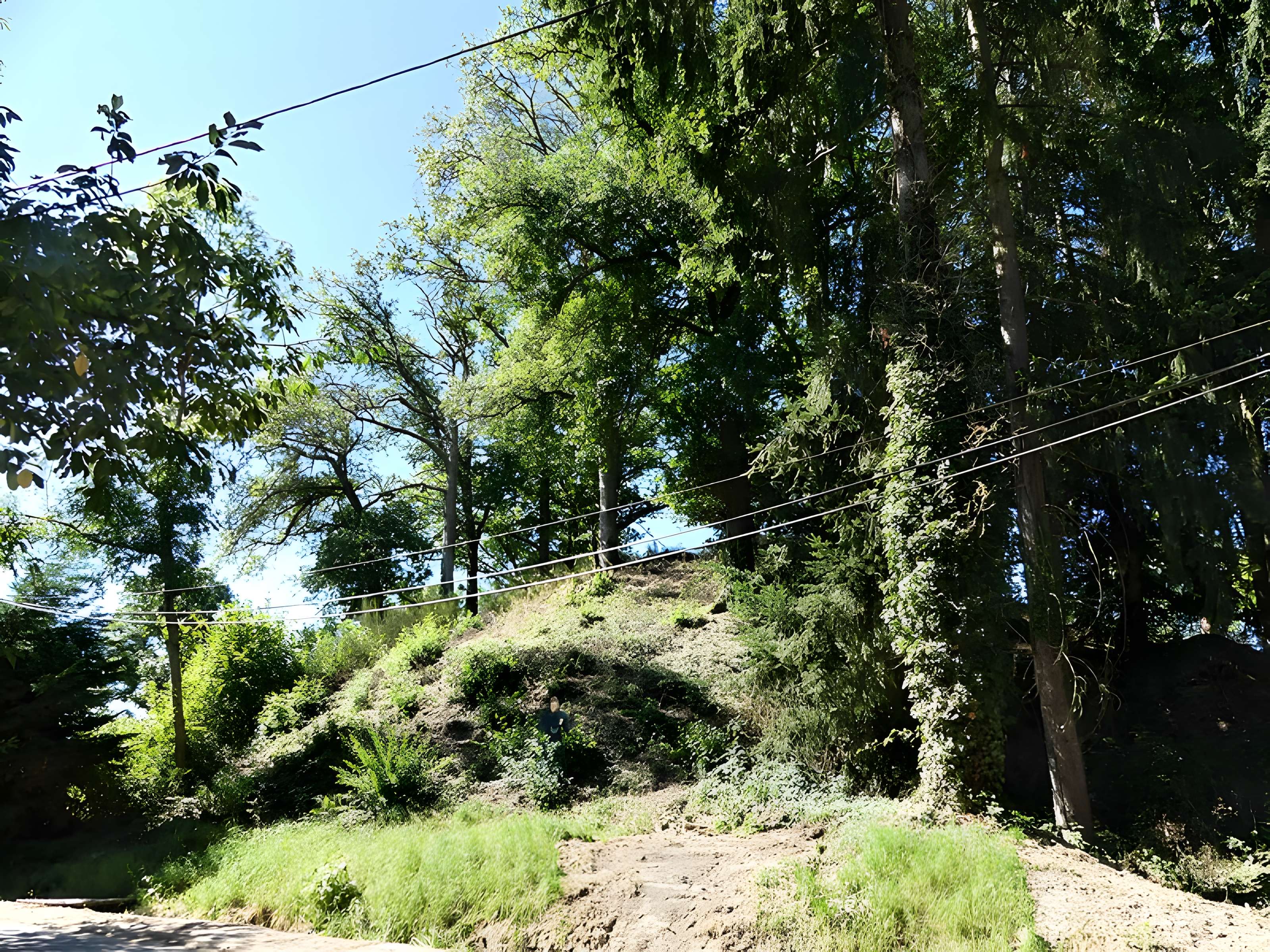 Église Saint-Didier-et-Saint-Blaise de Saint-Dizier-la-Tour