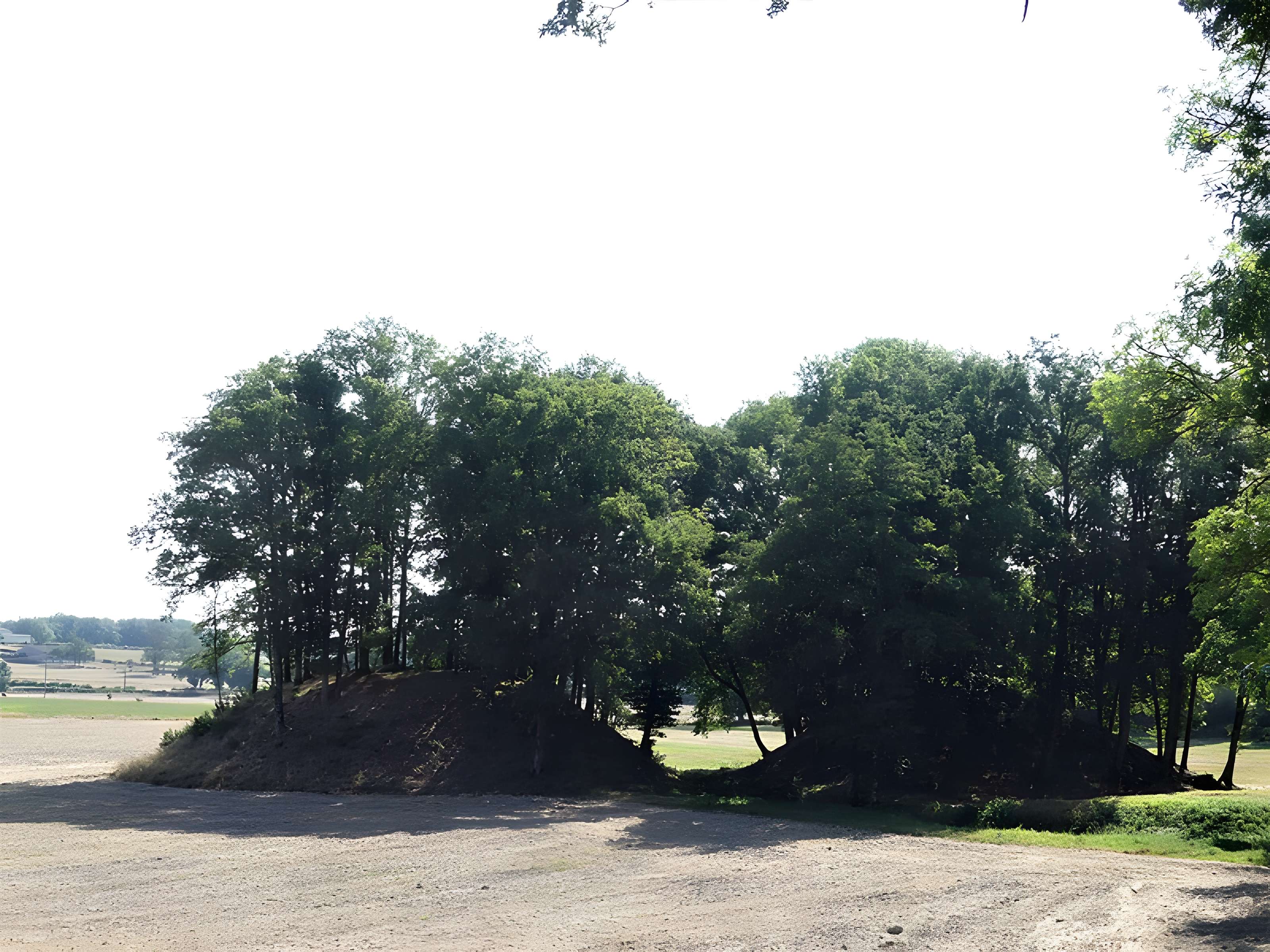 Église Saint-Didier-et-Saint-Blaise de Saint-Dizier-la-Tour