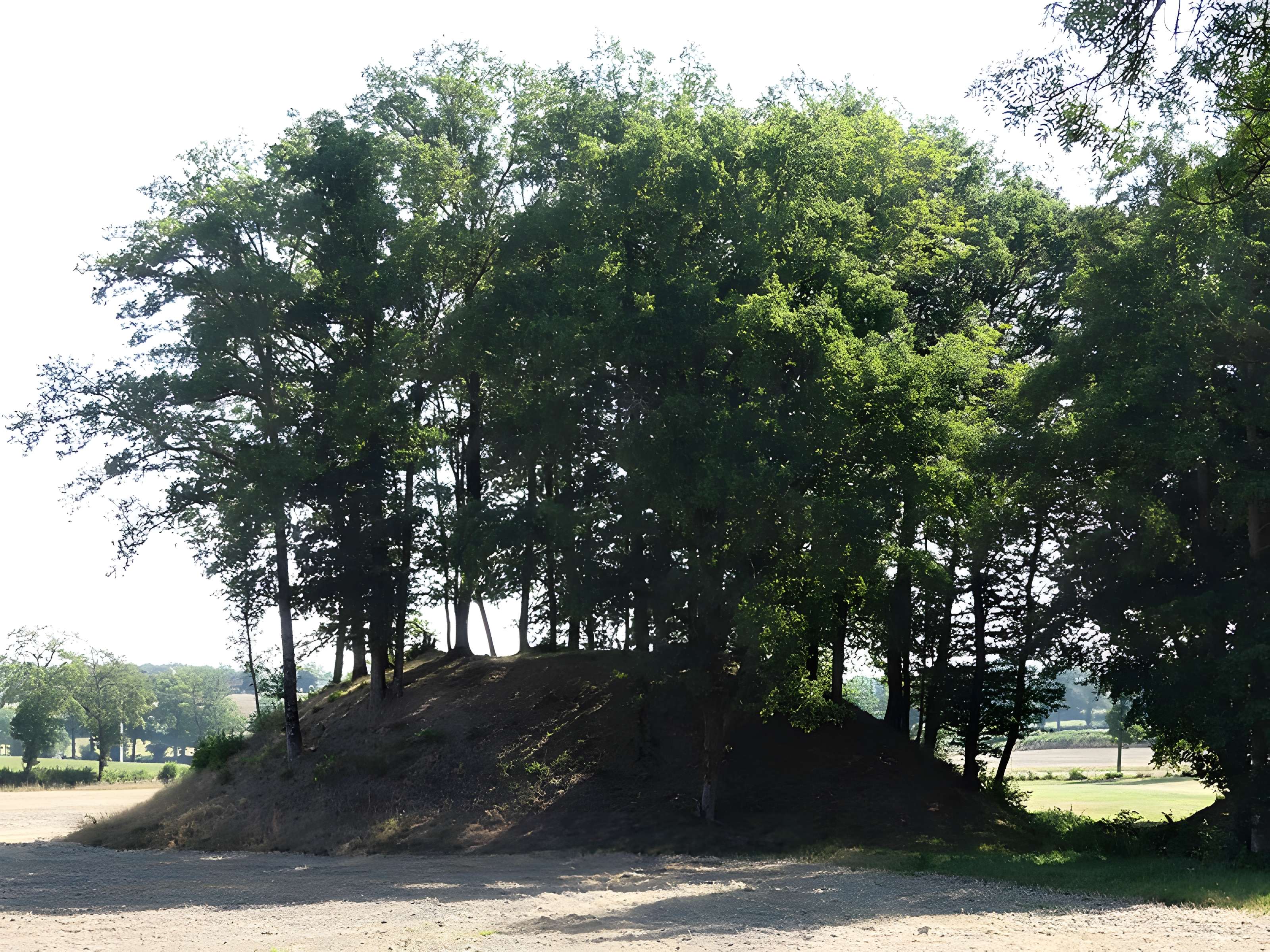 Église Saint-Didier-et-Saint-Blaise de Saint-Dizier-la-Tour