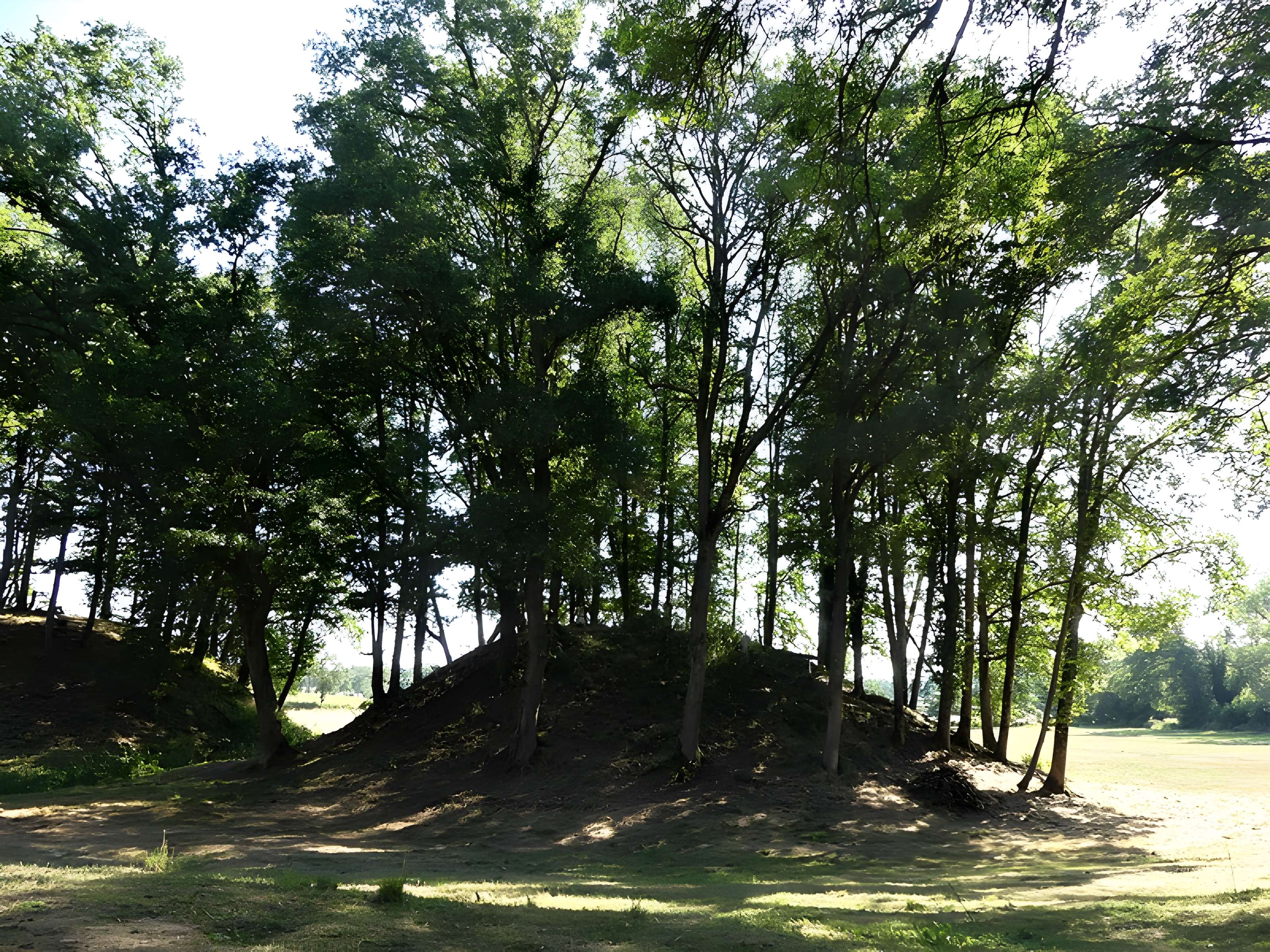 Église Saint-Didier-et-Saint-Blaise de Saint-Dizier-la-Tour