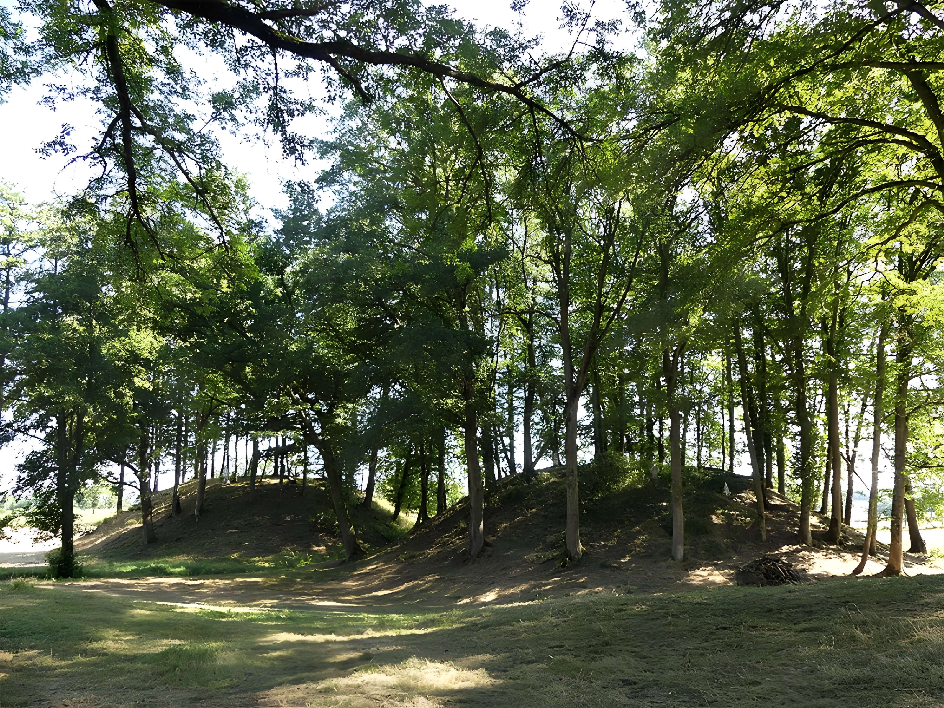 Église Saint-Didier-et-Saint-Blaise de Saint-Dizier-la-Tour