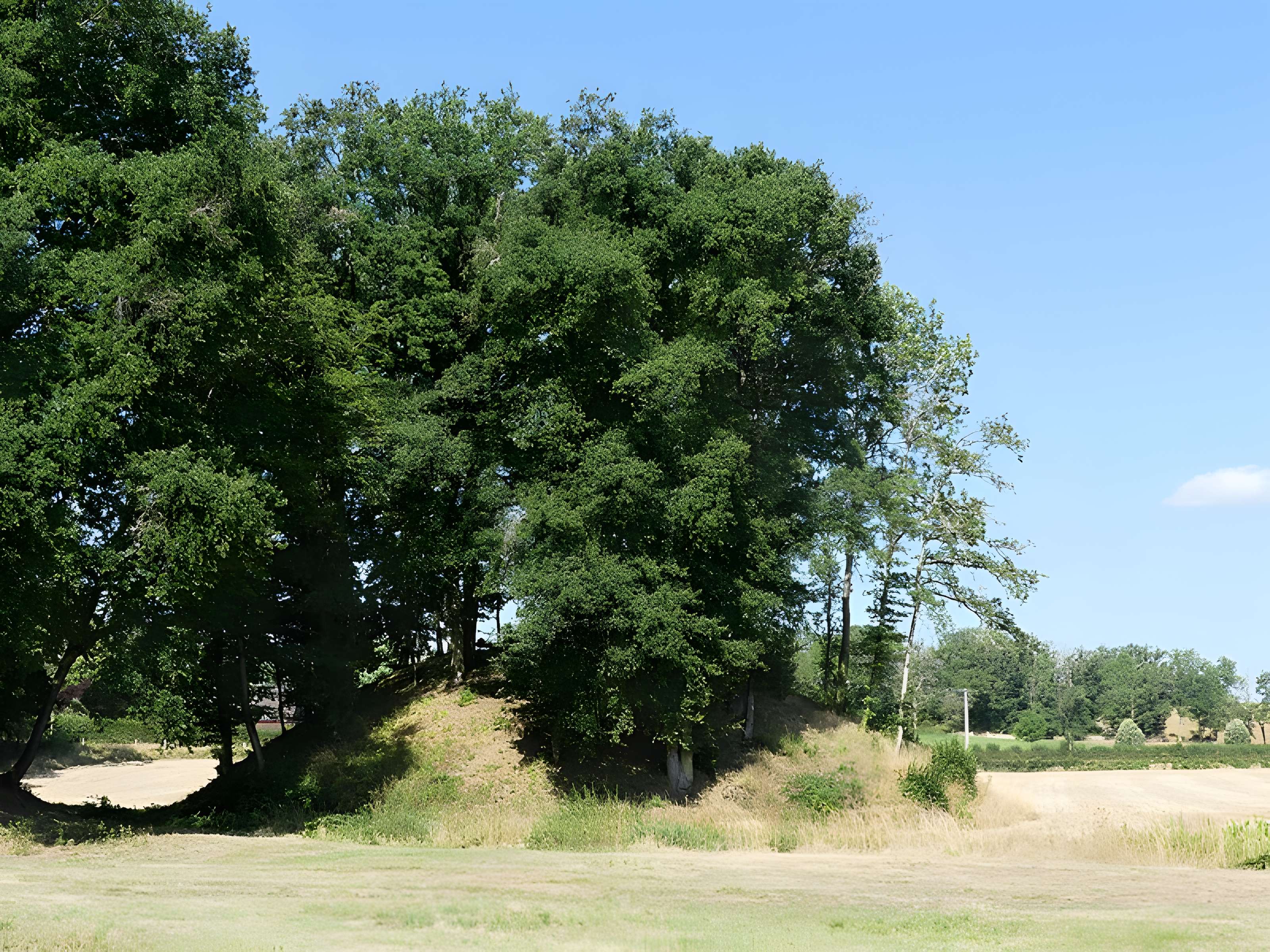 Église Saint-Didier-et-Saint-Blaise de Saint-Dizier-la-Tour