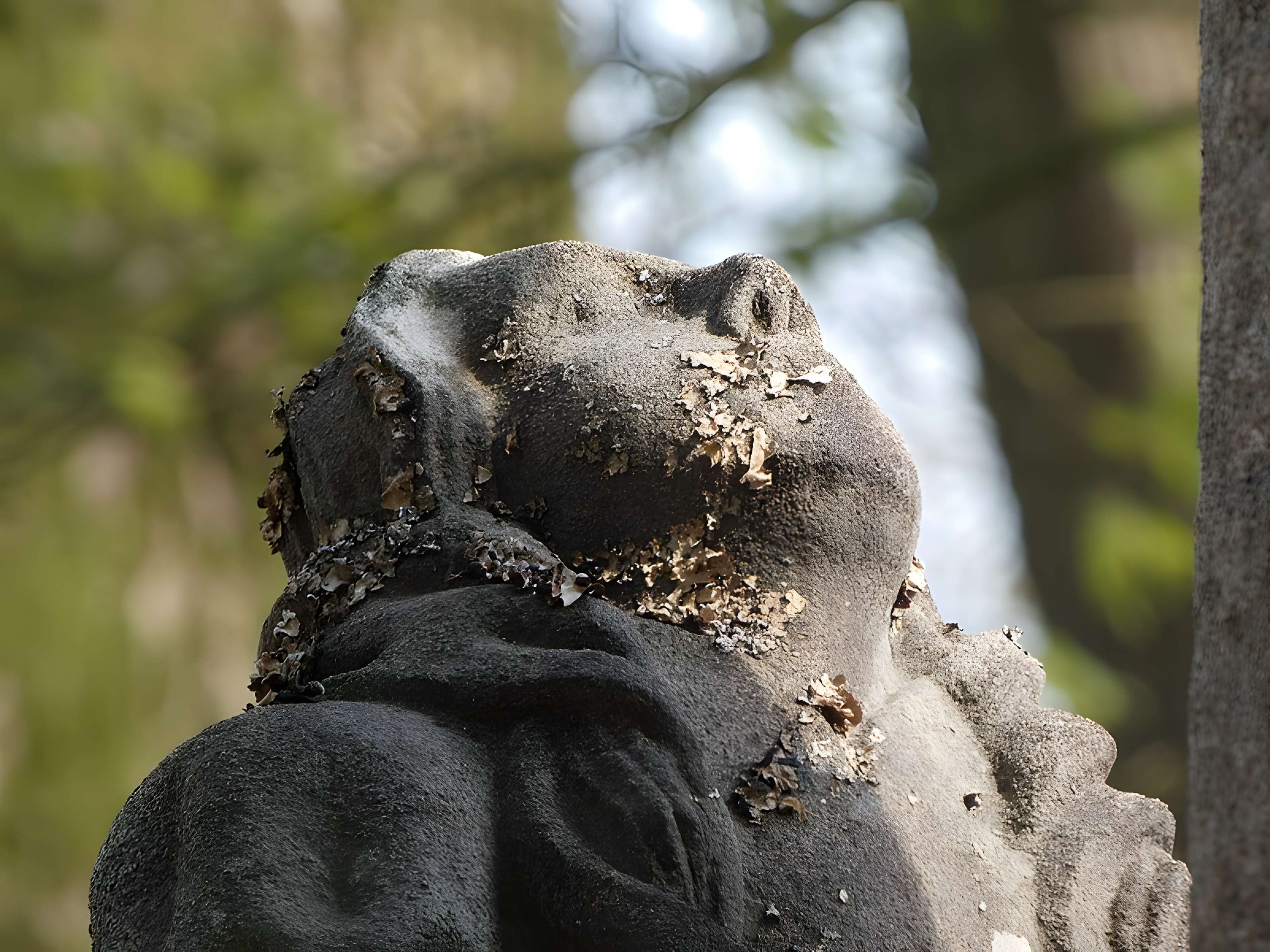 Église Saint-Divy de Saint-Divy