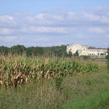 Prieuré ou Abbaye de Trizay en Charente-Maritime