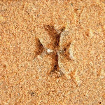 Prieuré ou Abbaye de Trizay en Charente-Maritime