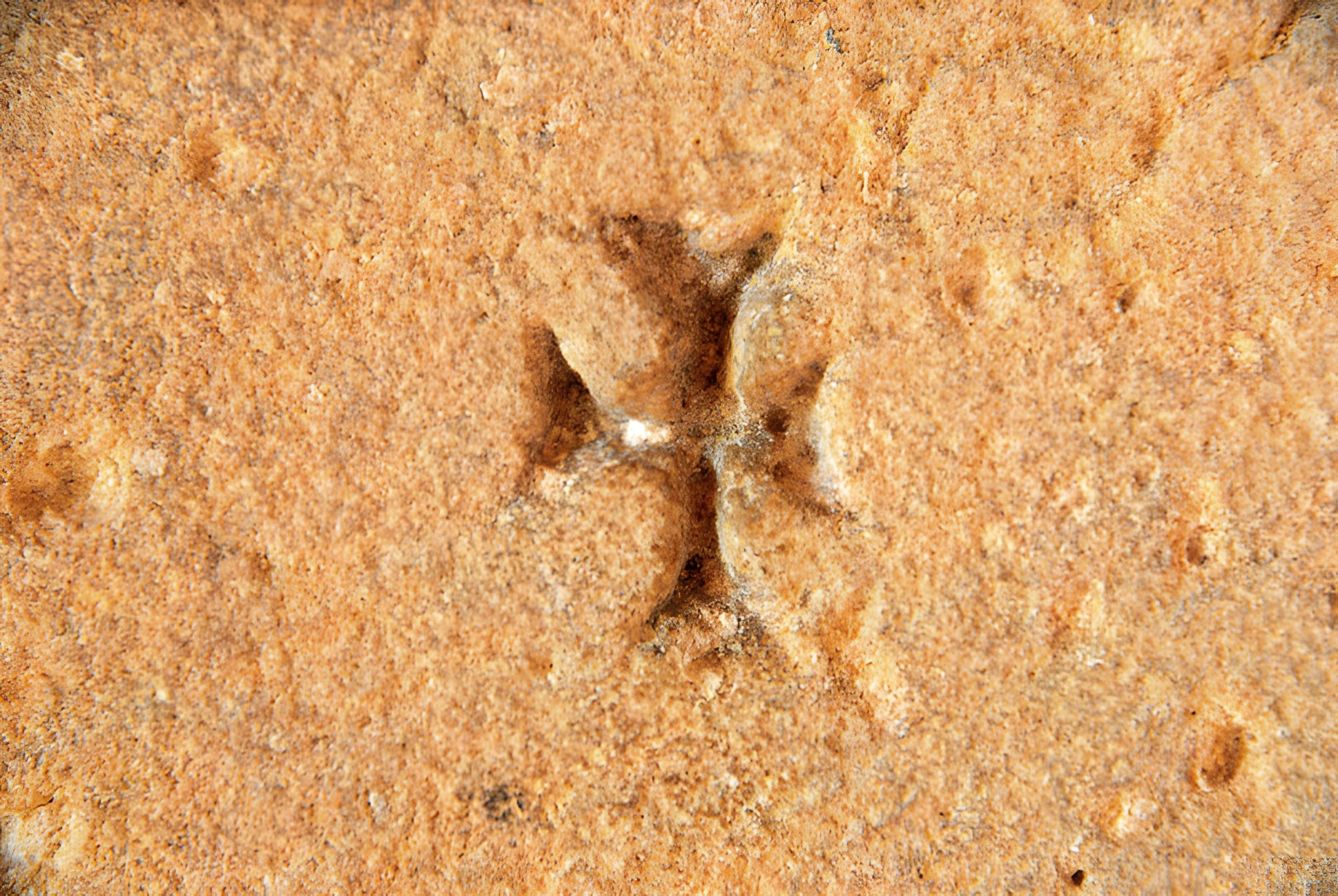 Prieuré ou Abbaye de Trizay en Charente-Maritime