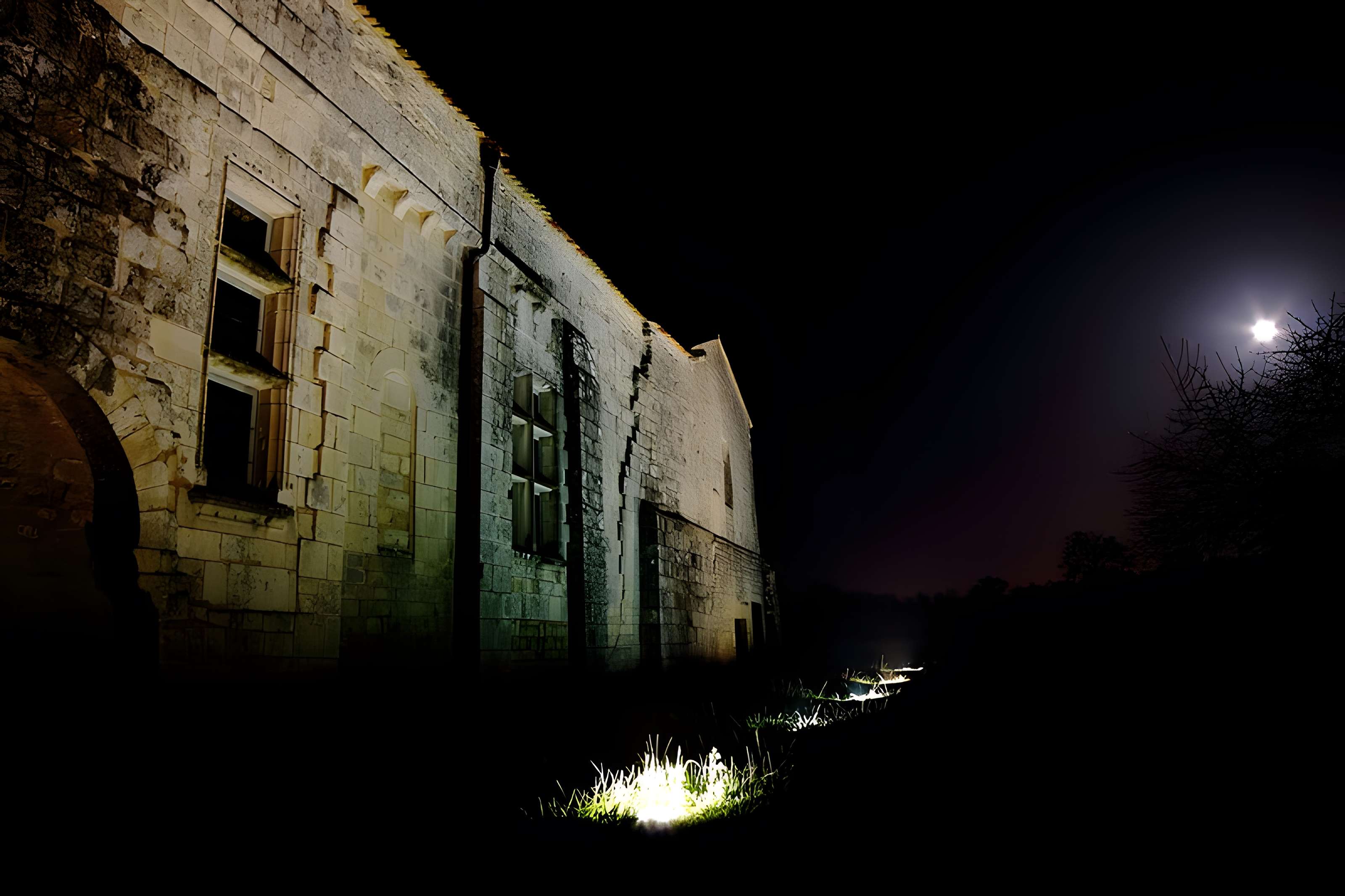 Prieuré ou Abbaye de Trizay en Charente-Maritime