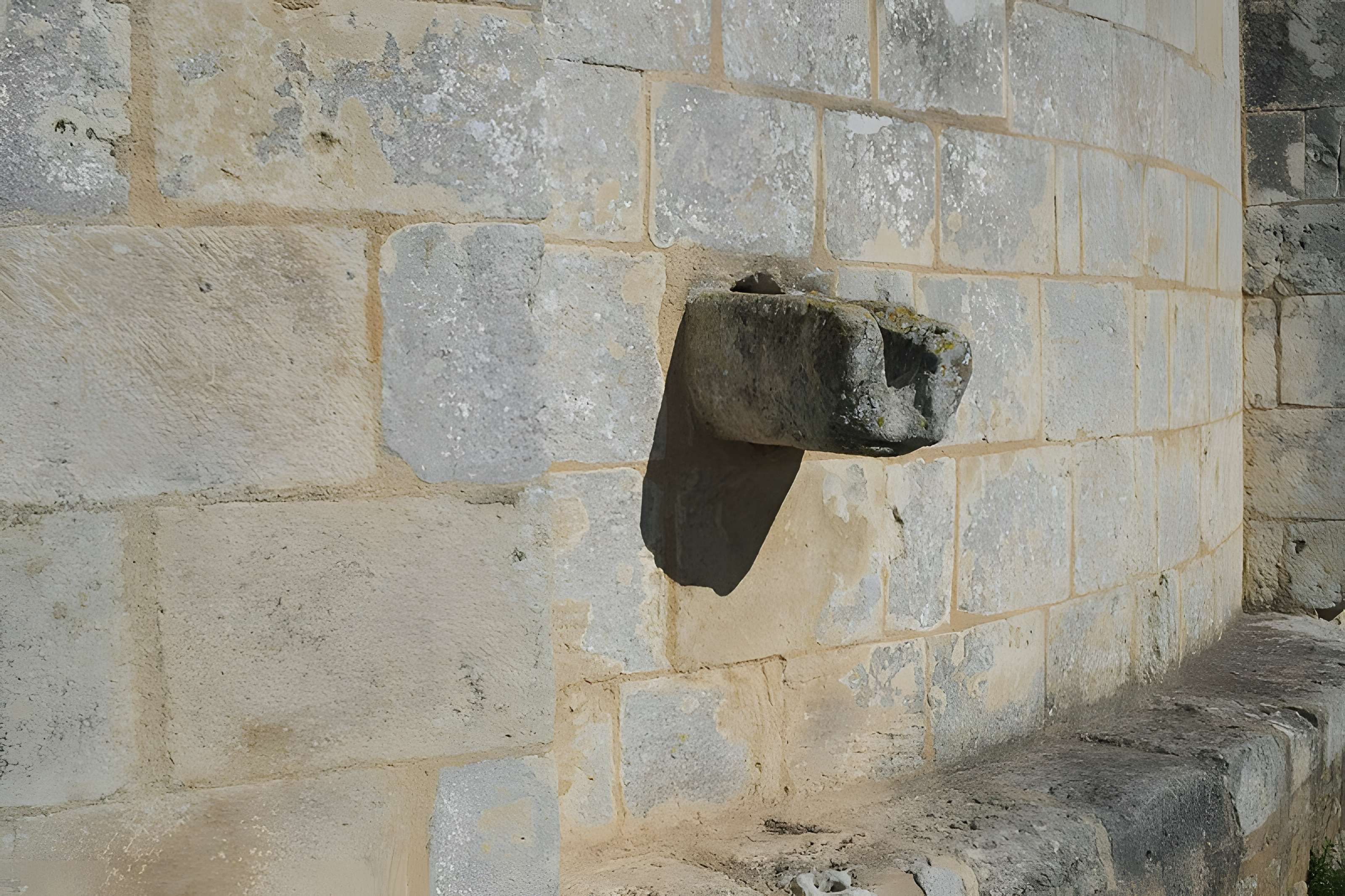 Prieuré ou Abbaye de Trizay en Charente-Maritime