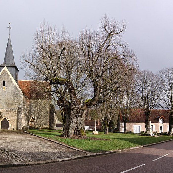 Photo de Église Sainte-Colombe de Sainte-Colombe-des-Bois