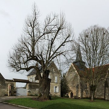 Église Sainte-Colombe de Sainte-Colombe-des-Bois