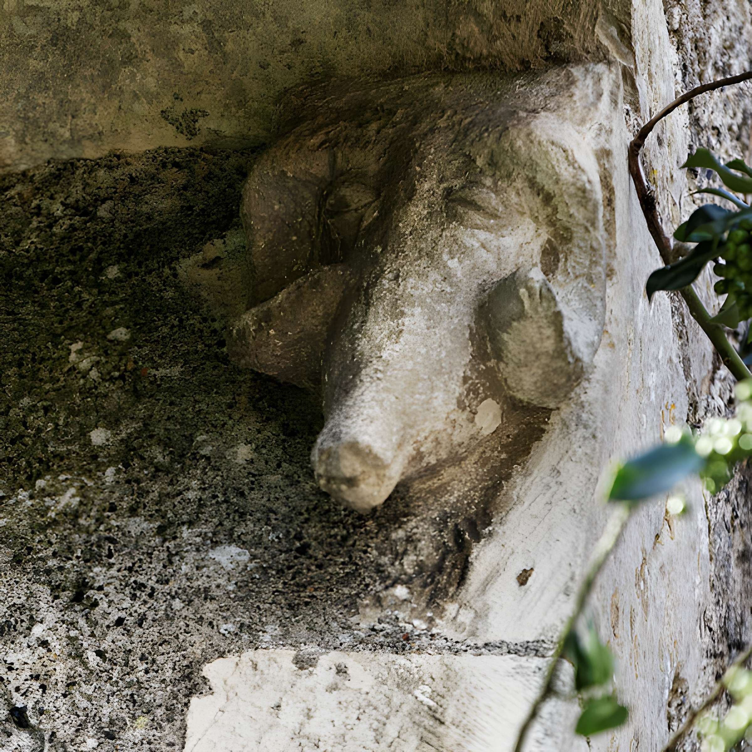Église Sainte-Colombe de Sainte-Colombe-des-Bois