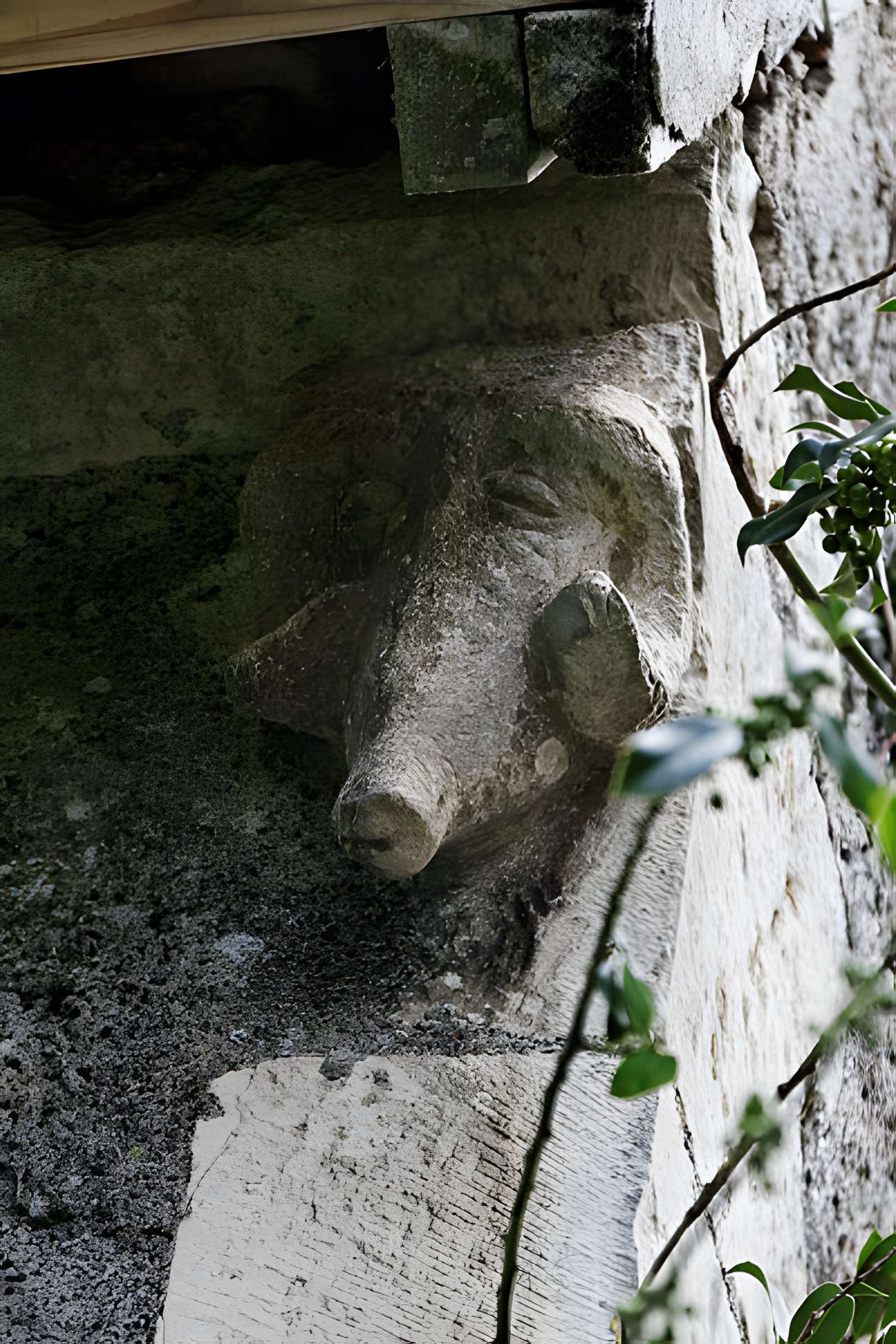 Église Sainte-Colombe de Sainte-Colombe-des-Bois
