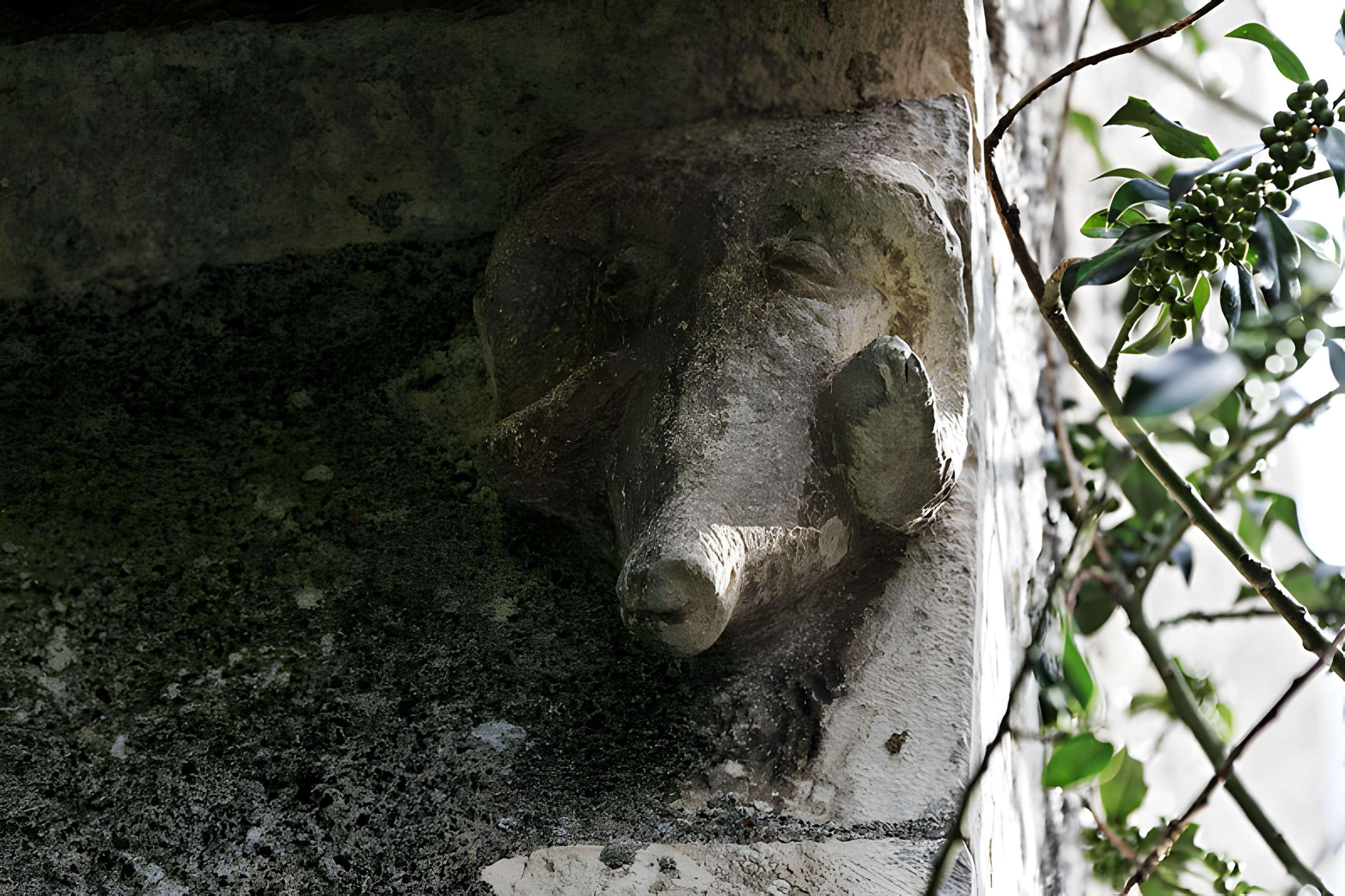 Église Sainte-Colombe de Sainte-Colombe-des-Bois