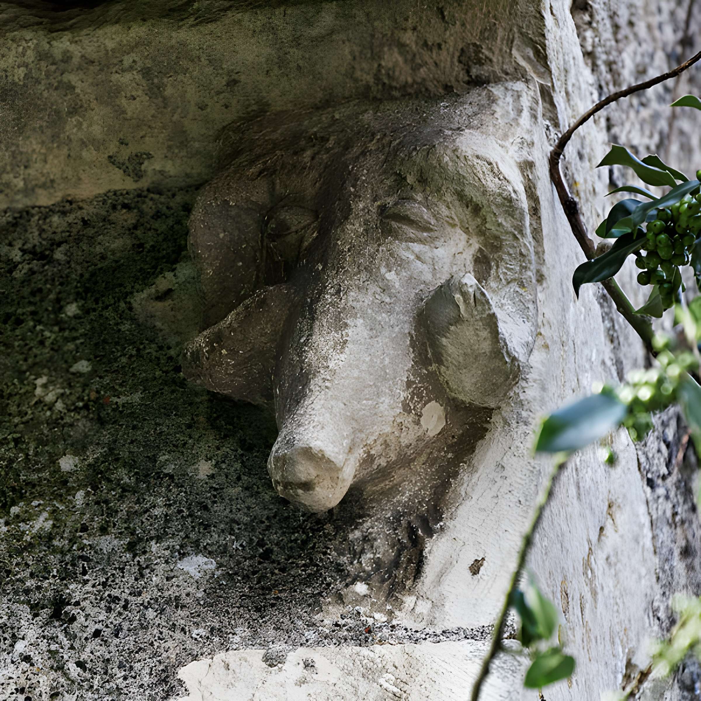 Église Sainte-Colombe de Sainte-Colombe-des-Bois
