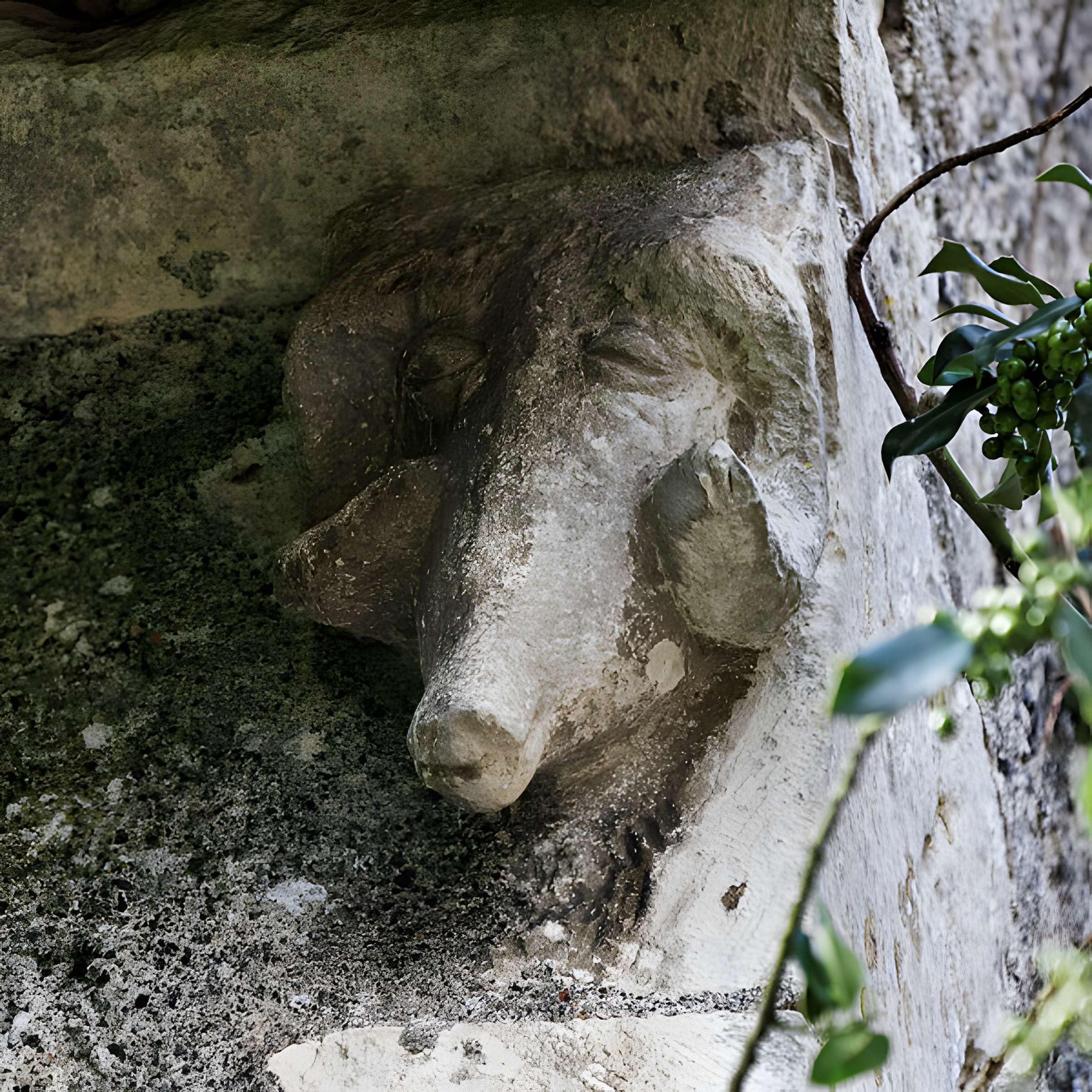 Église Sainte-Colombe de Sainte-Colombe-des-Bois