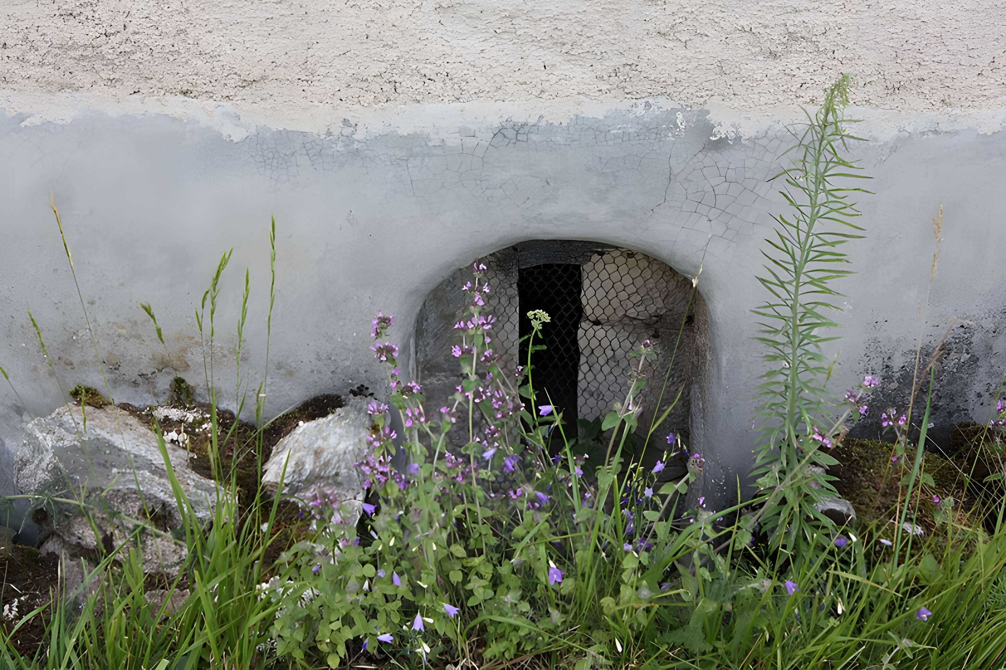 Église Sainte-Eulalie de Lançon