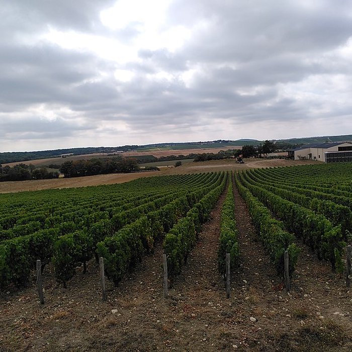 Photo de Église Sainte-Gemme de Sainte-Gemme-en-Sancerrois