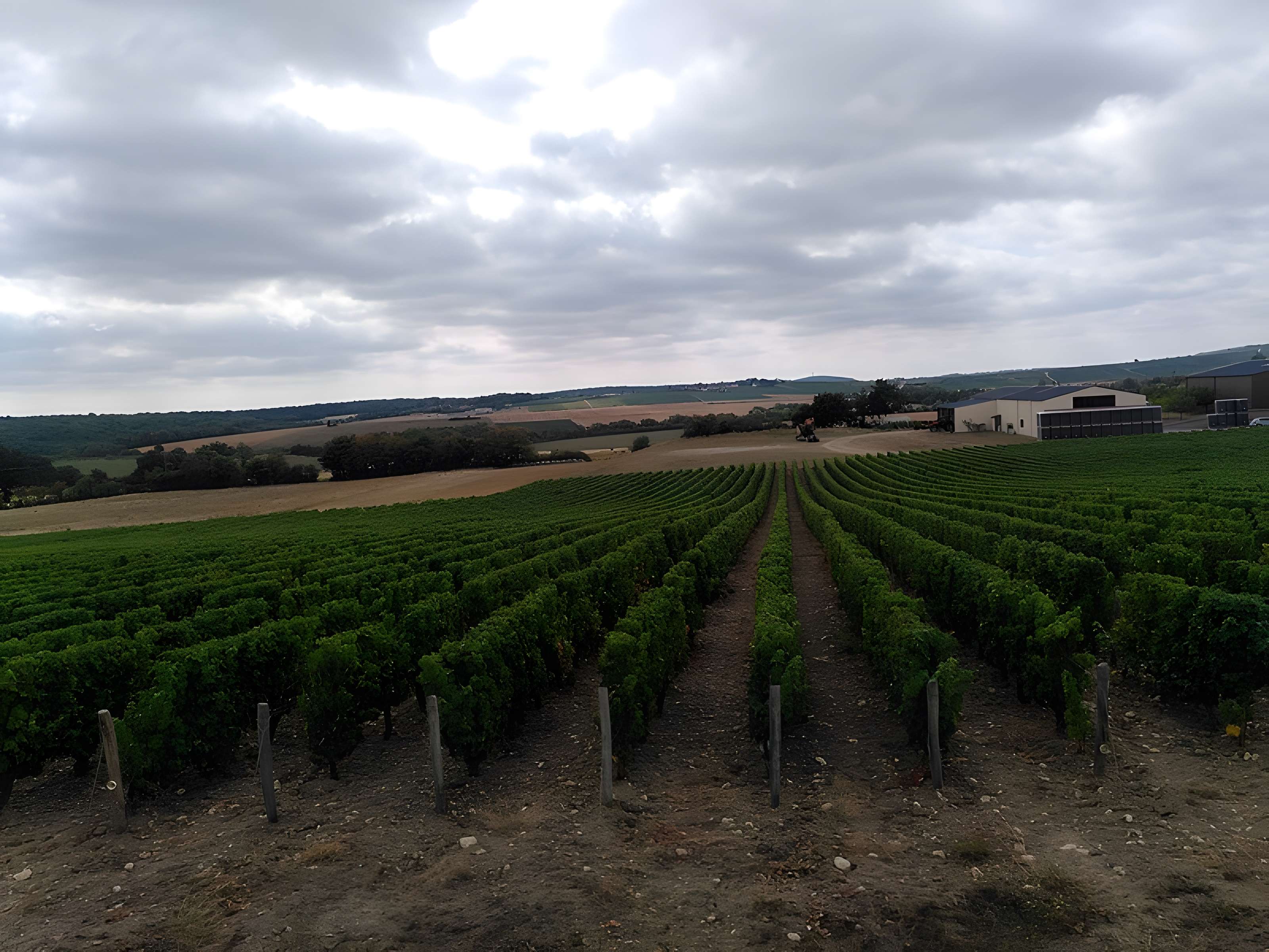 Église Sainte-Gemme de Sainte-Gemme-en-Sancerrois