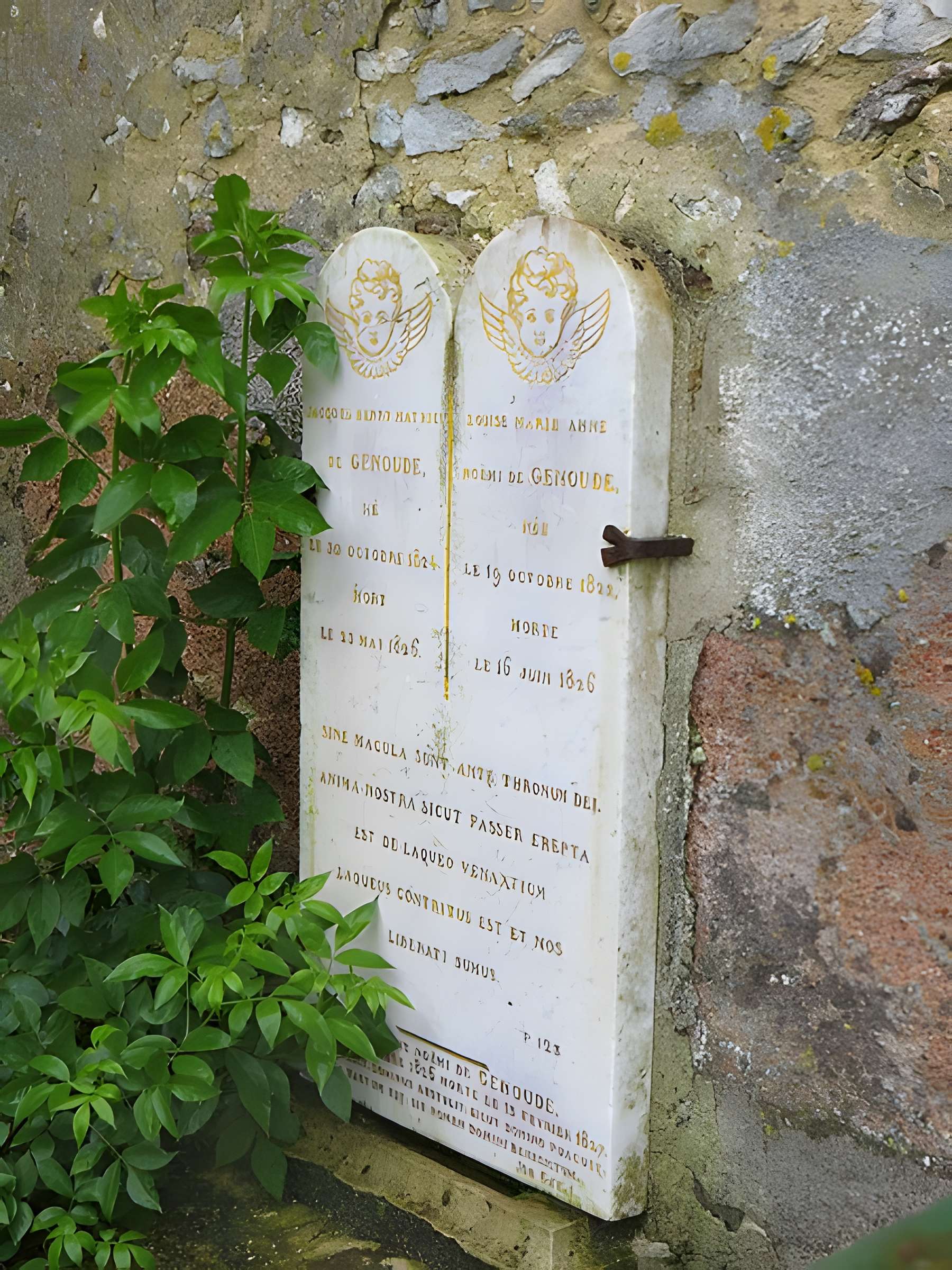 Église Sainte-Geneviève de Cucharmoy