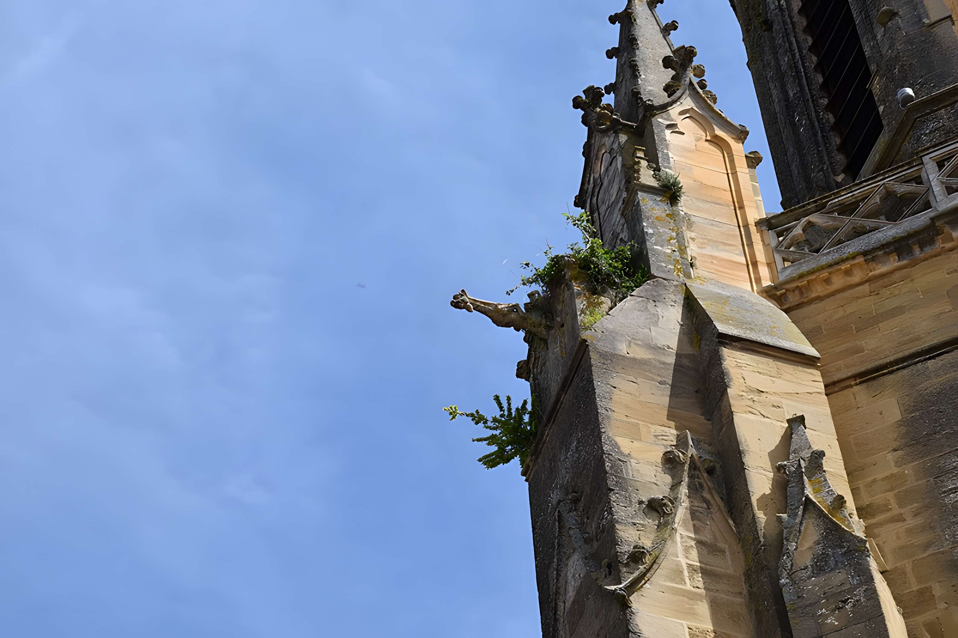Église Sainte-Marie de Boulogne-sur-Gesse