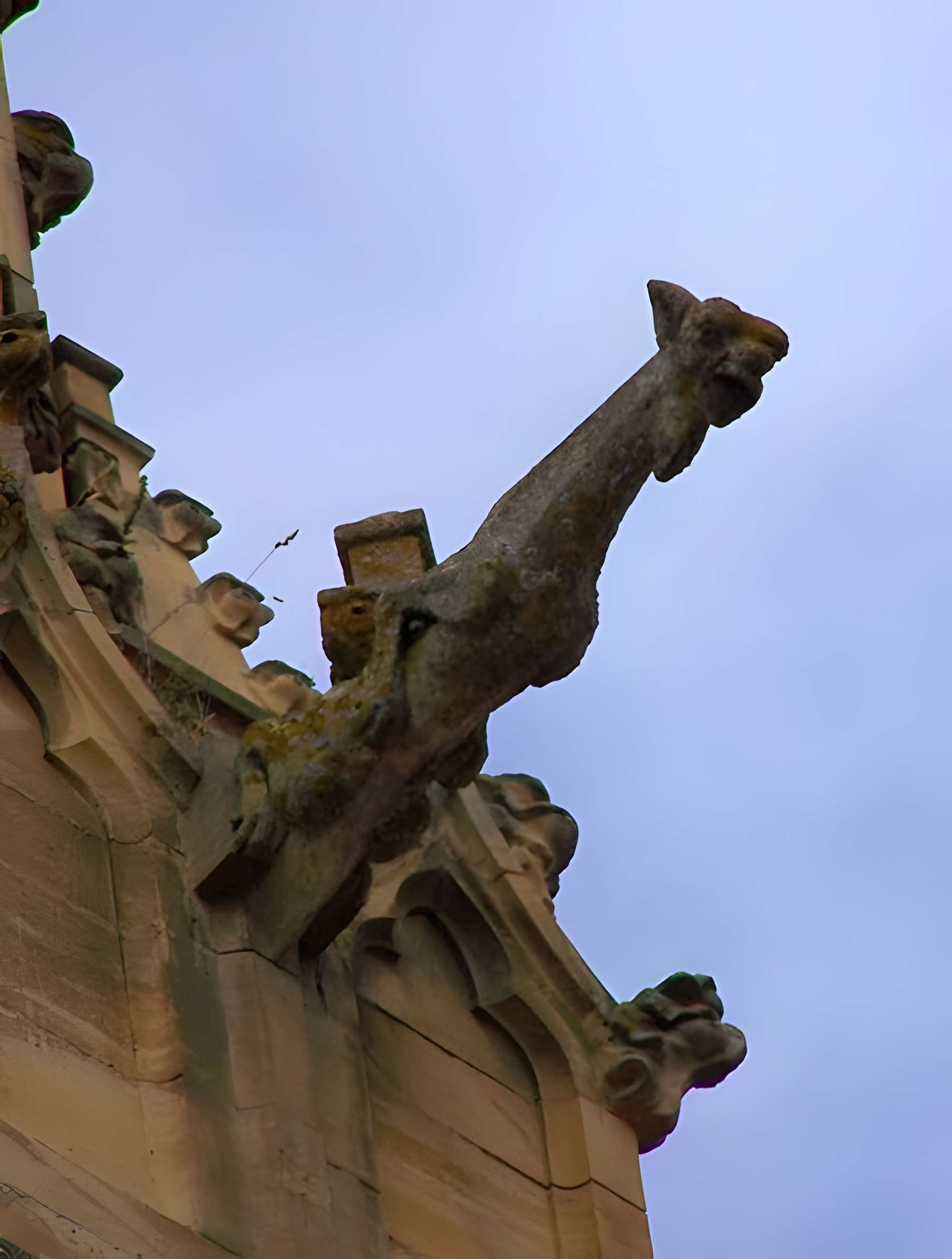 Église Sainte-Marie de Boulogne-sur-Gesse