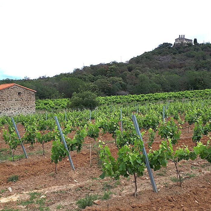 Photo de Église Sainte-Marie de Domanova de Rodès