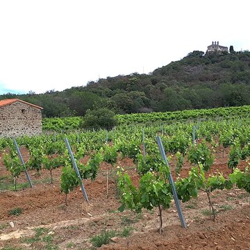 Église Sainte-Marie de Domanova de Rodès